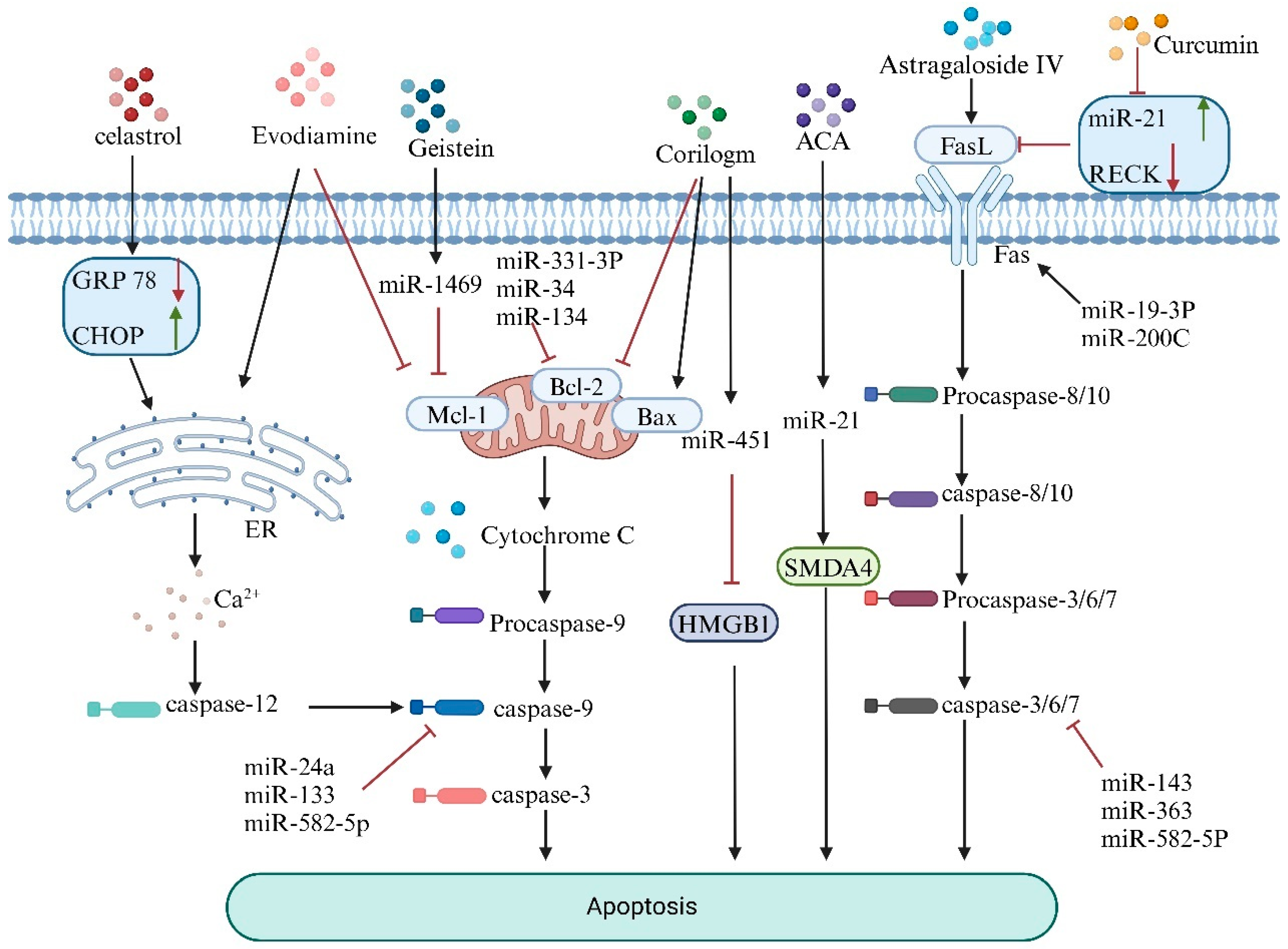 Biology 14 00061 g002