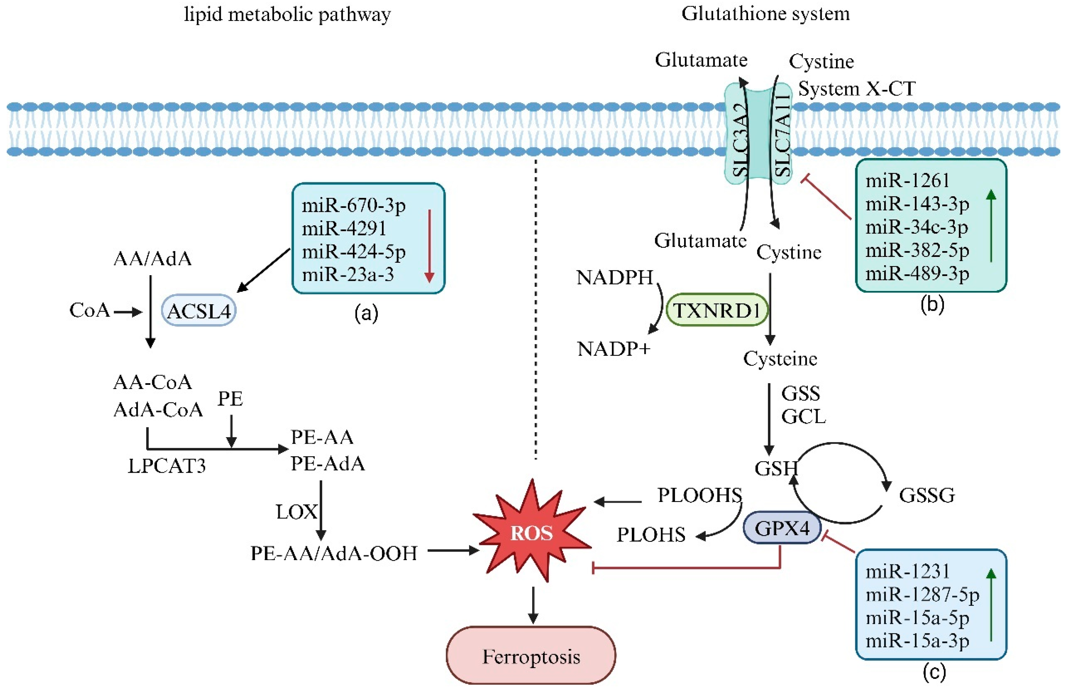 Biology 14 00061 g003