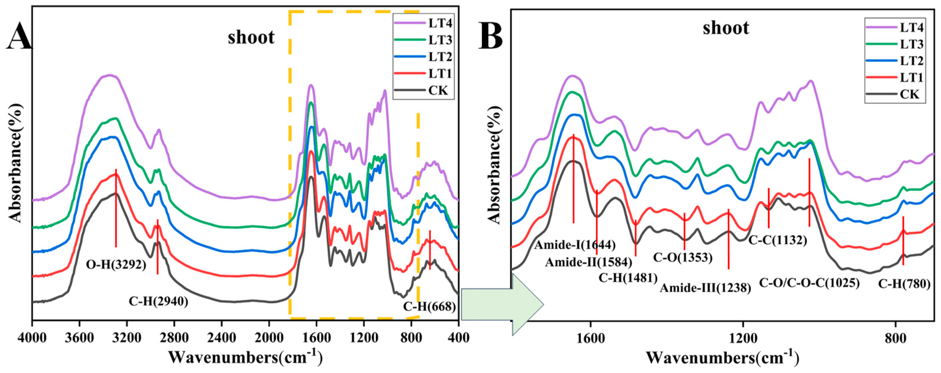 Molybdenum Can Regulate the Expression of Molybdase Genes