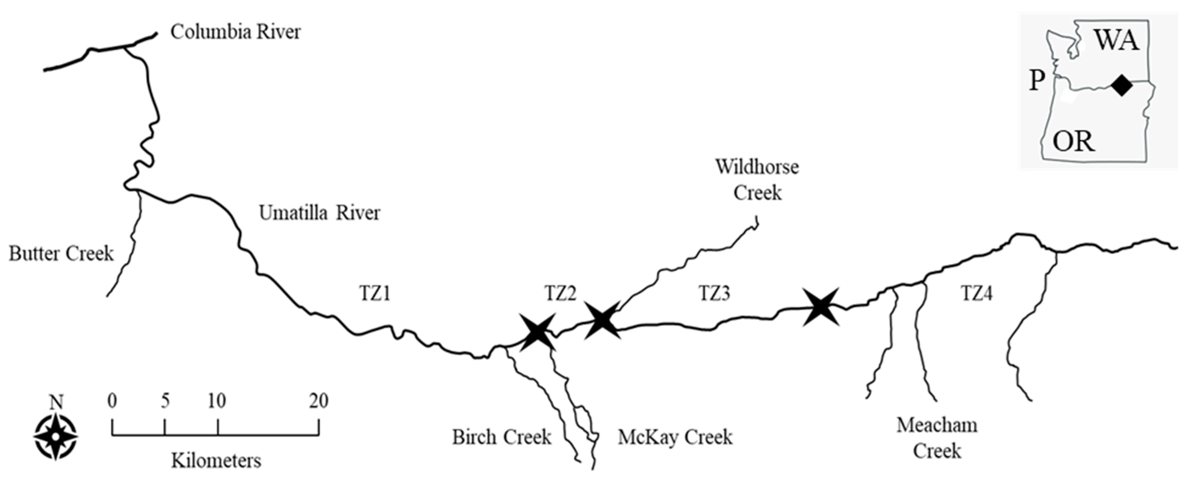 Biology 14 00074 g001