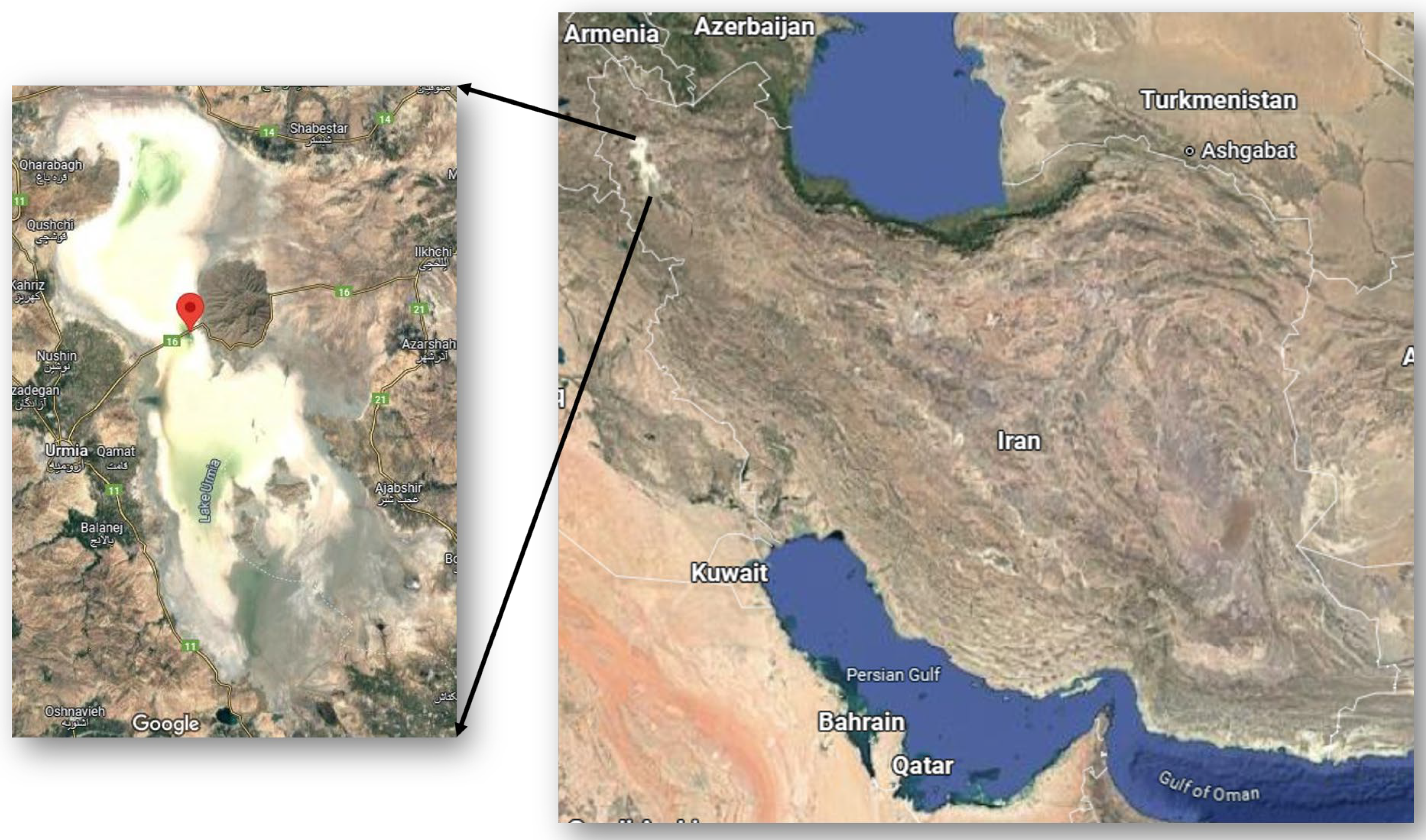 Biology 14 00075 g001
