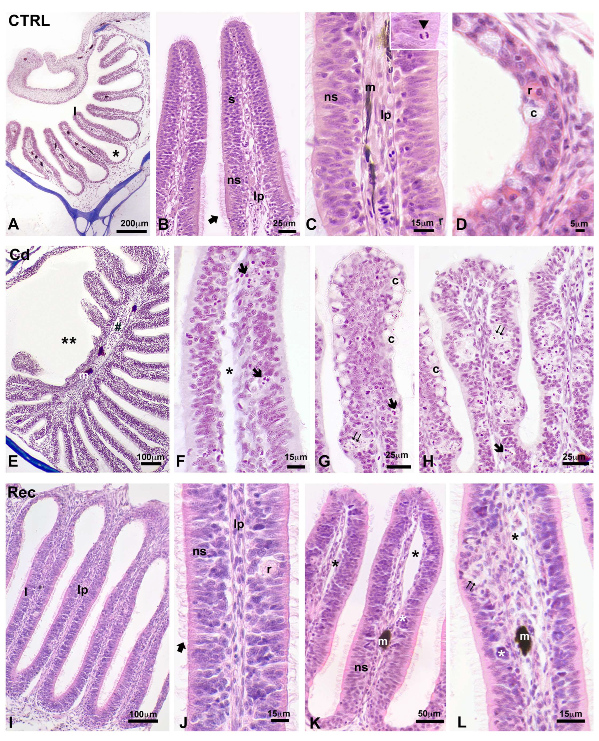 Biology 14 00077 g004