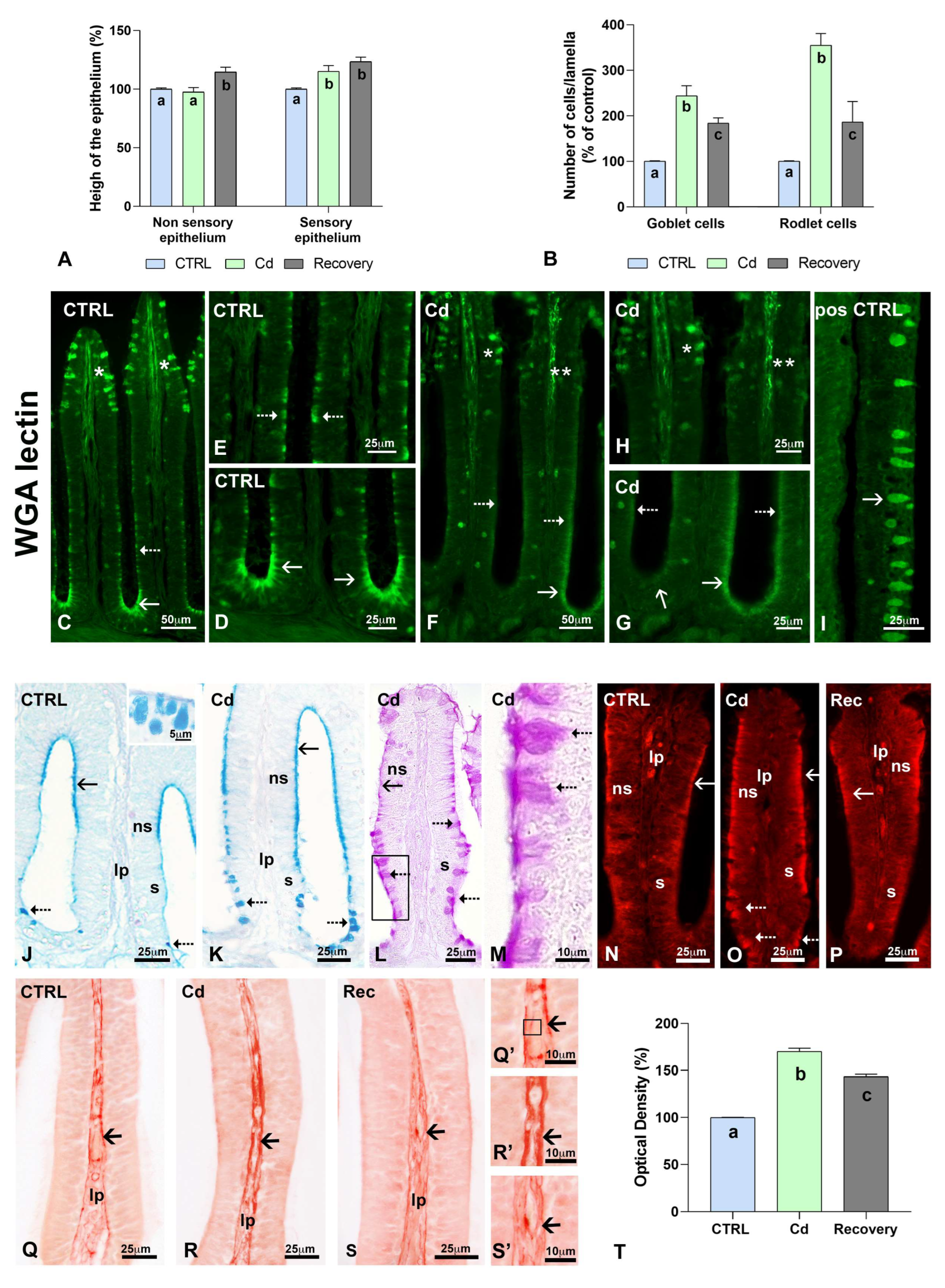 Biology 14 00077 g005