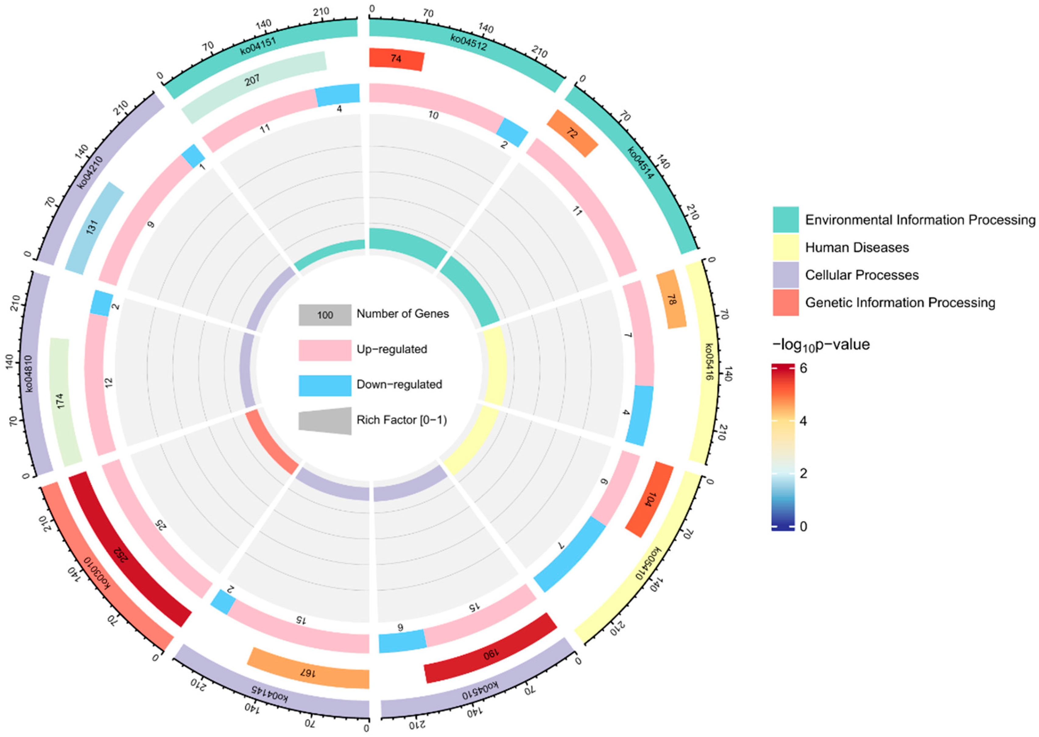 Biology 14 00084 g003