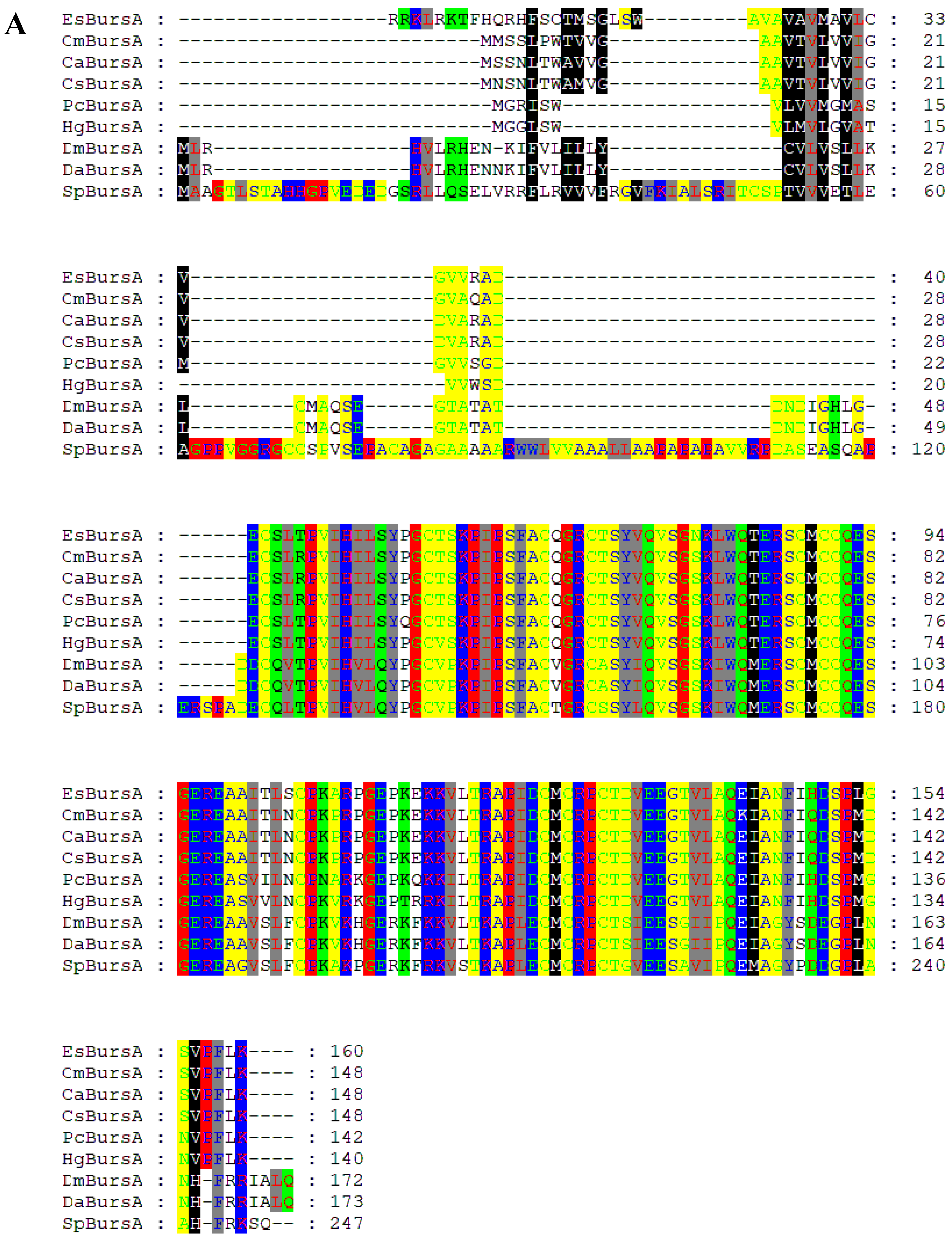 Biology 14 00084 g006a