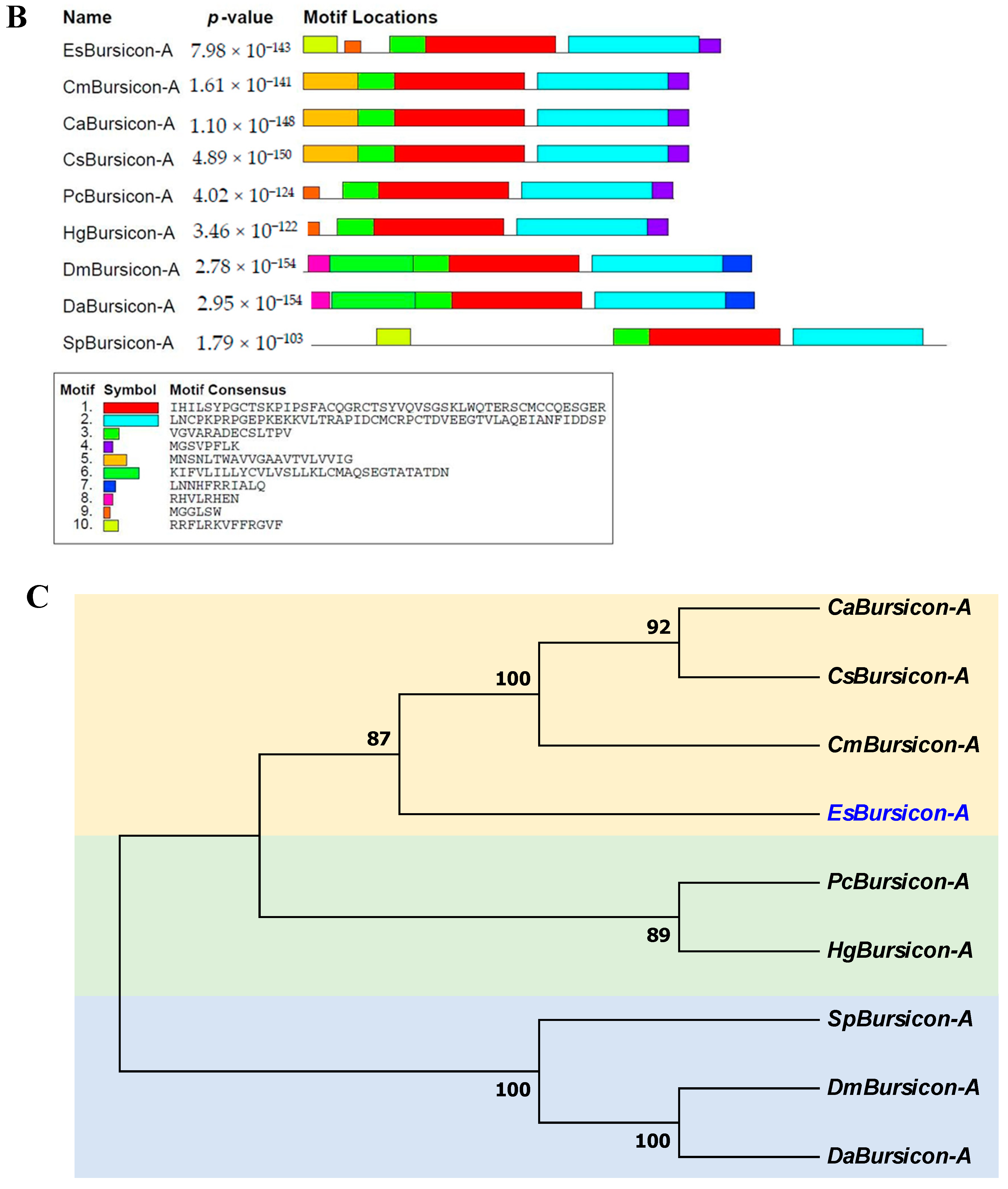 Biology 14 00084 g006b
