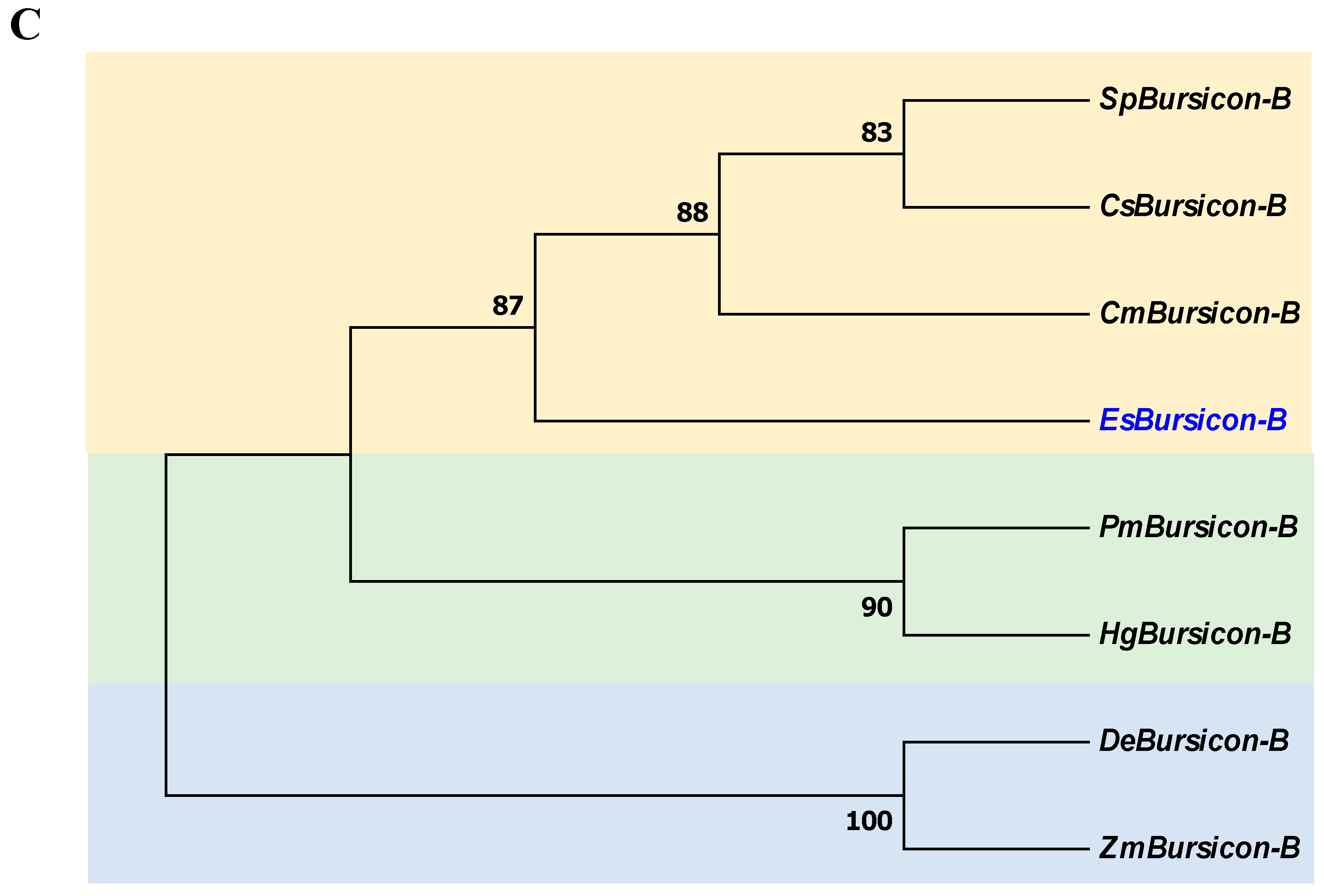 Biology 14 00084 g007b