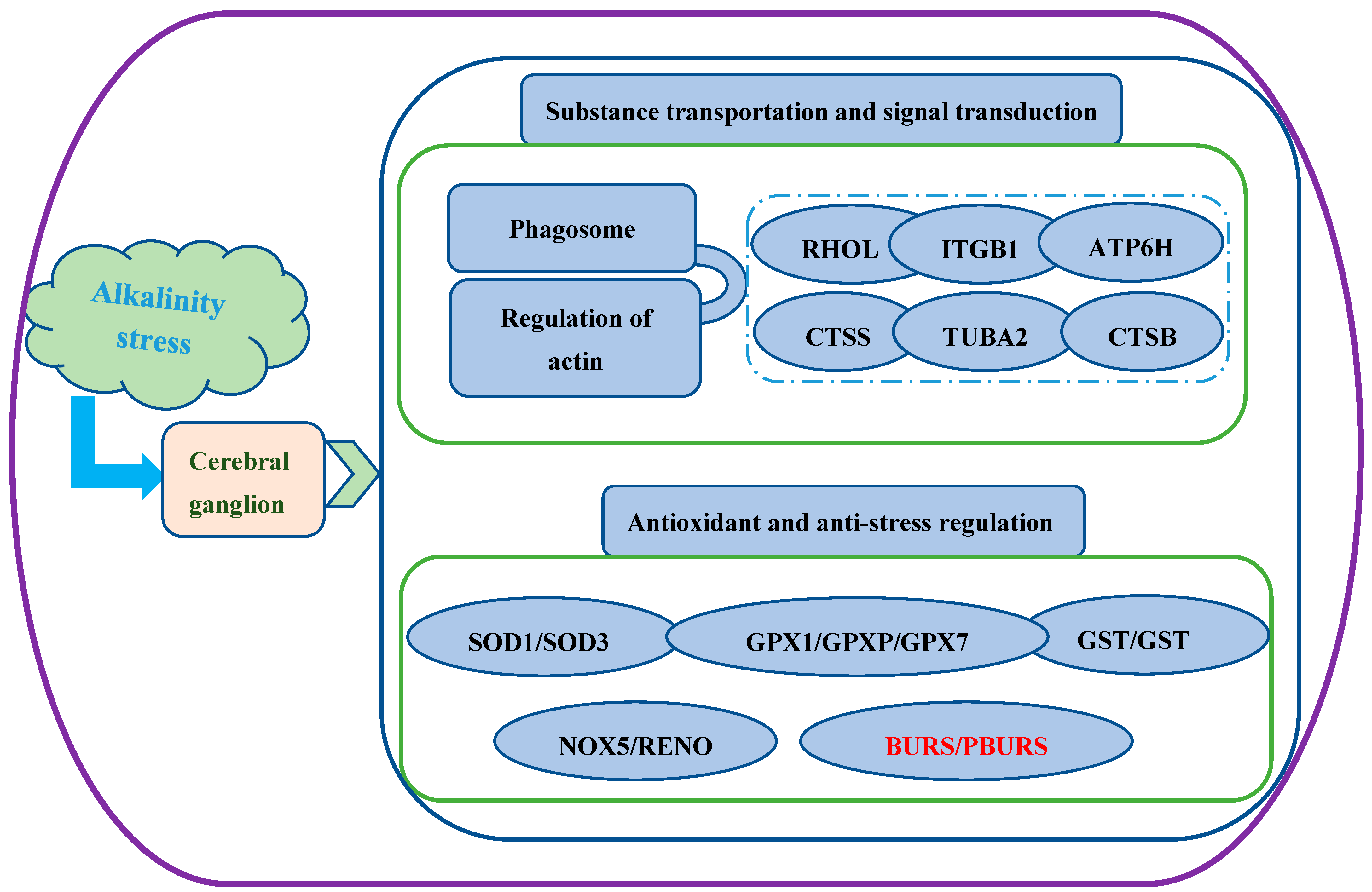 Biology 14 00084 g008