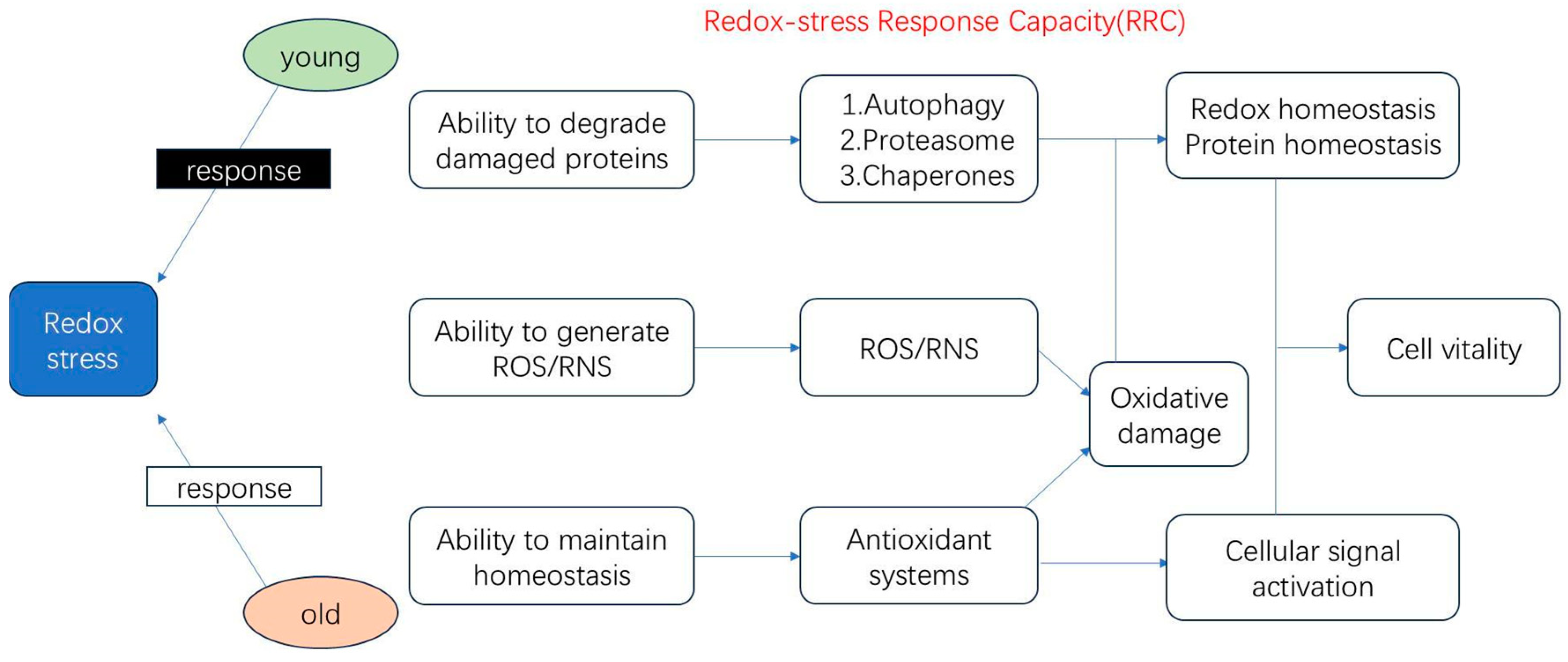 Biology 14 00087 g001
