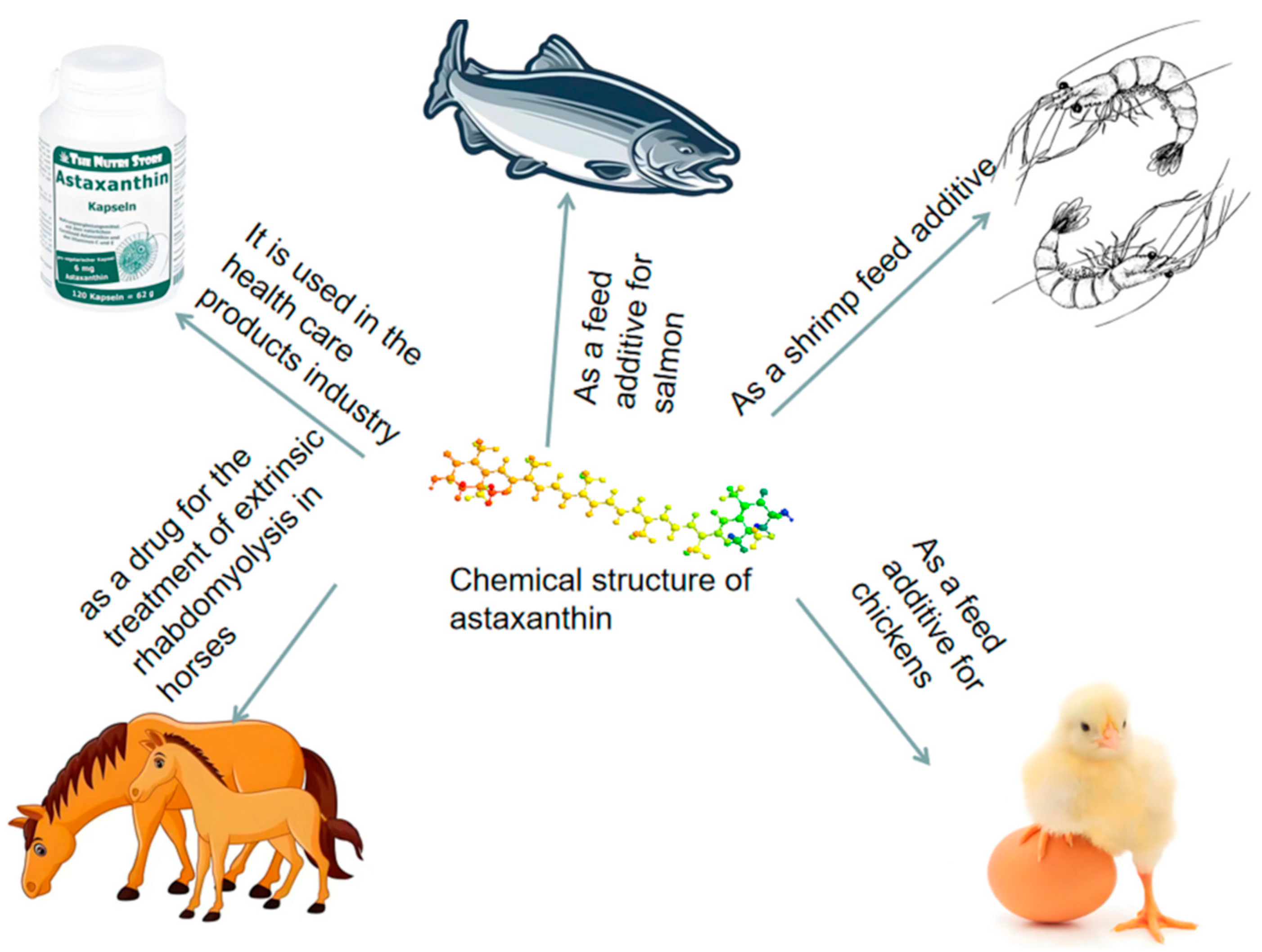 Biology 14 00087 g002