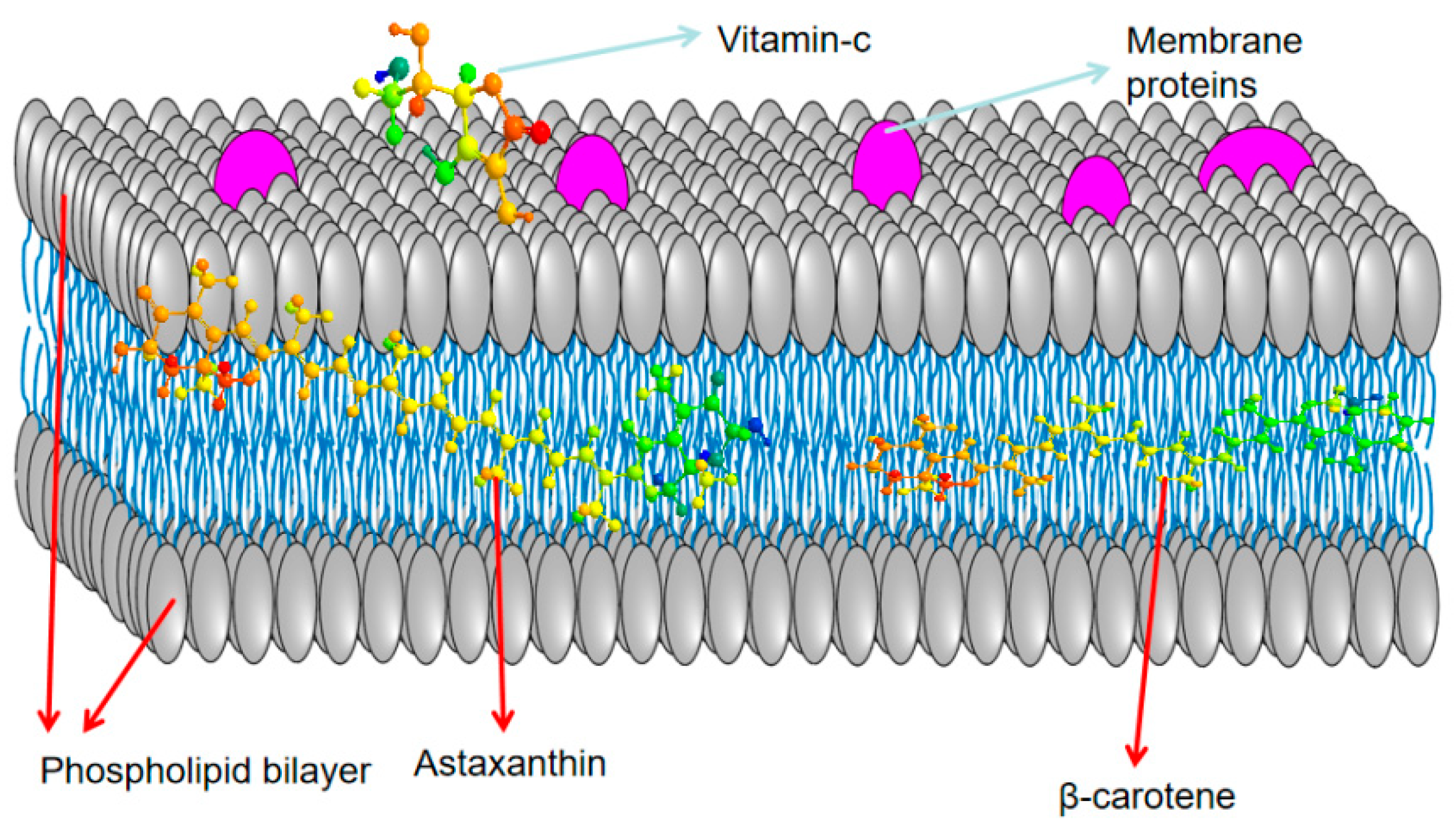 Biology 14 00087 g003