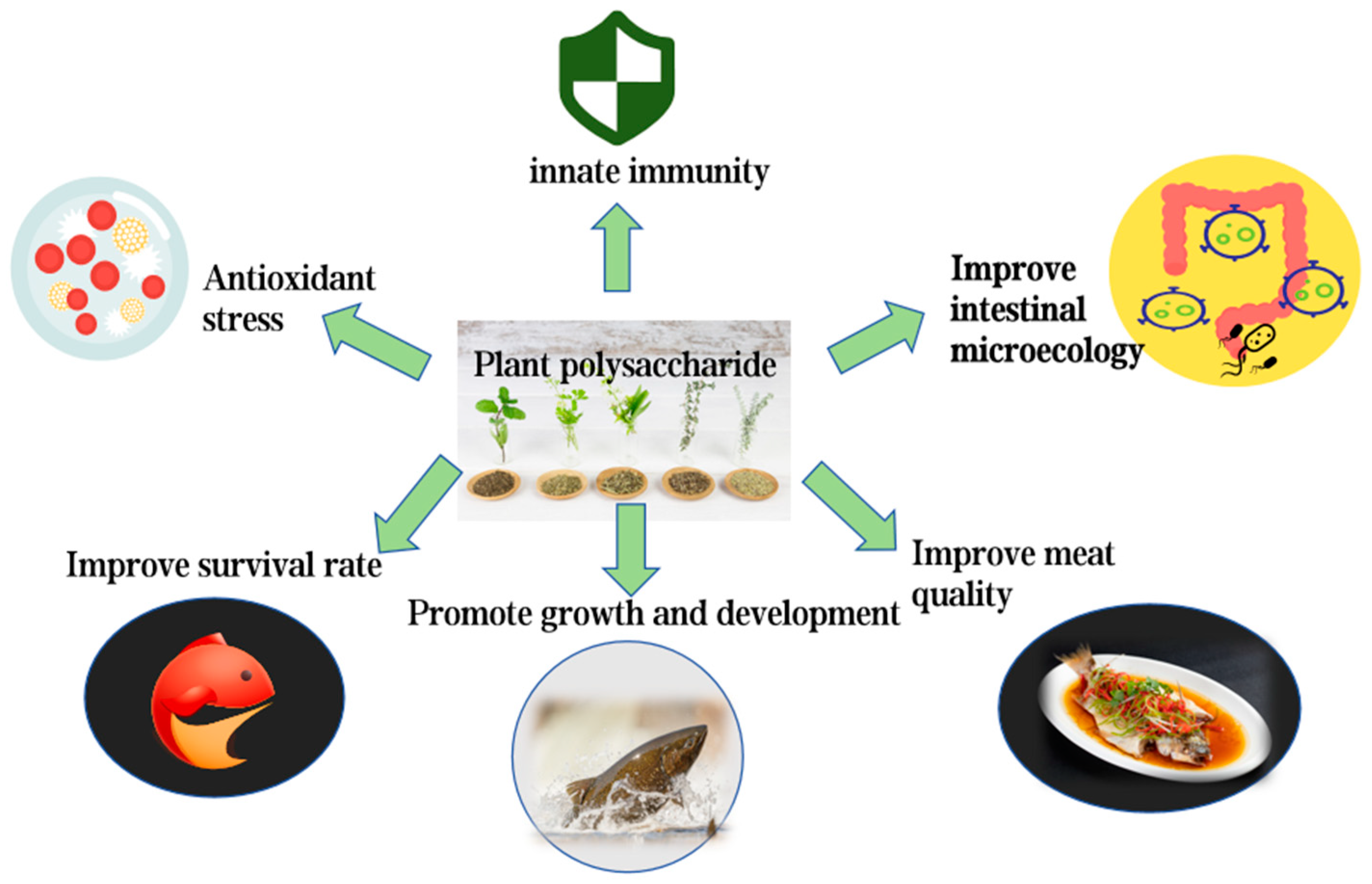 Biology 14 00087 g004