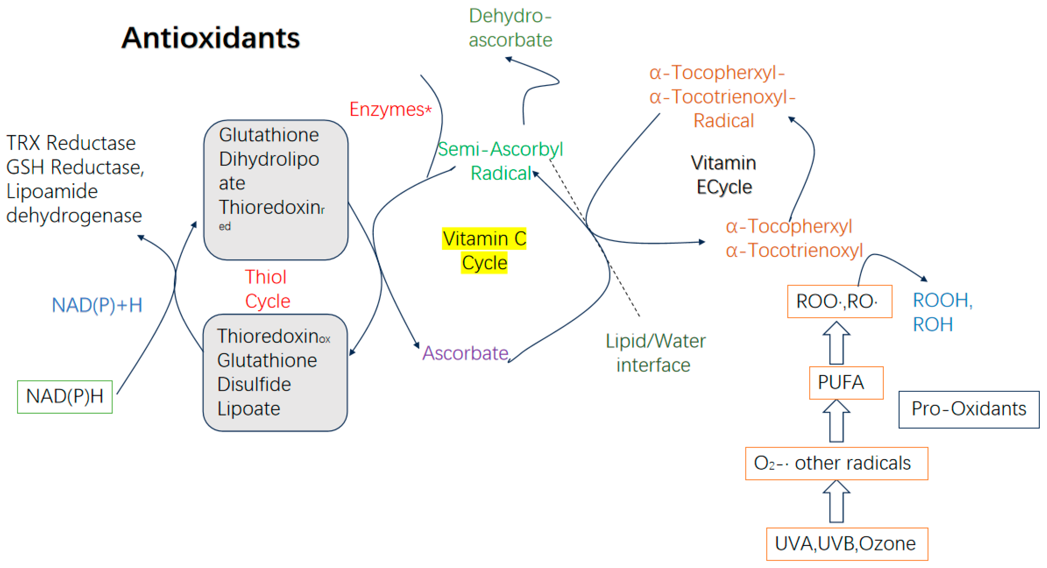Biology 14 00087 g005