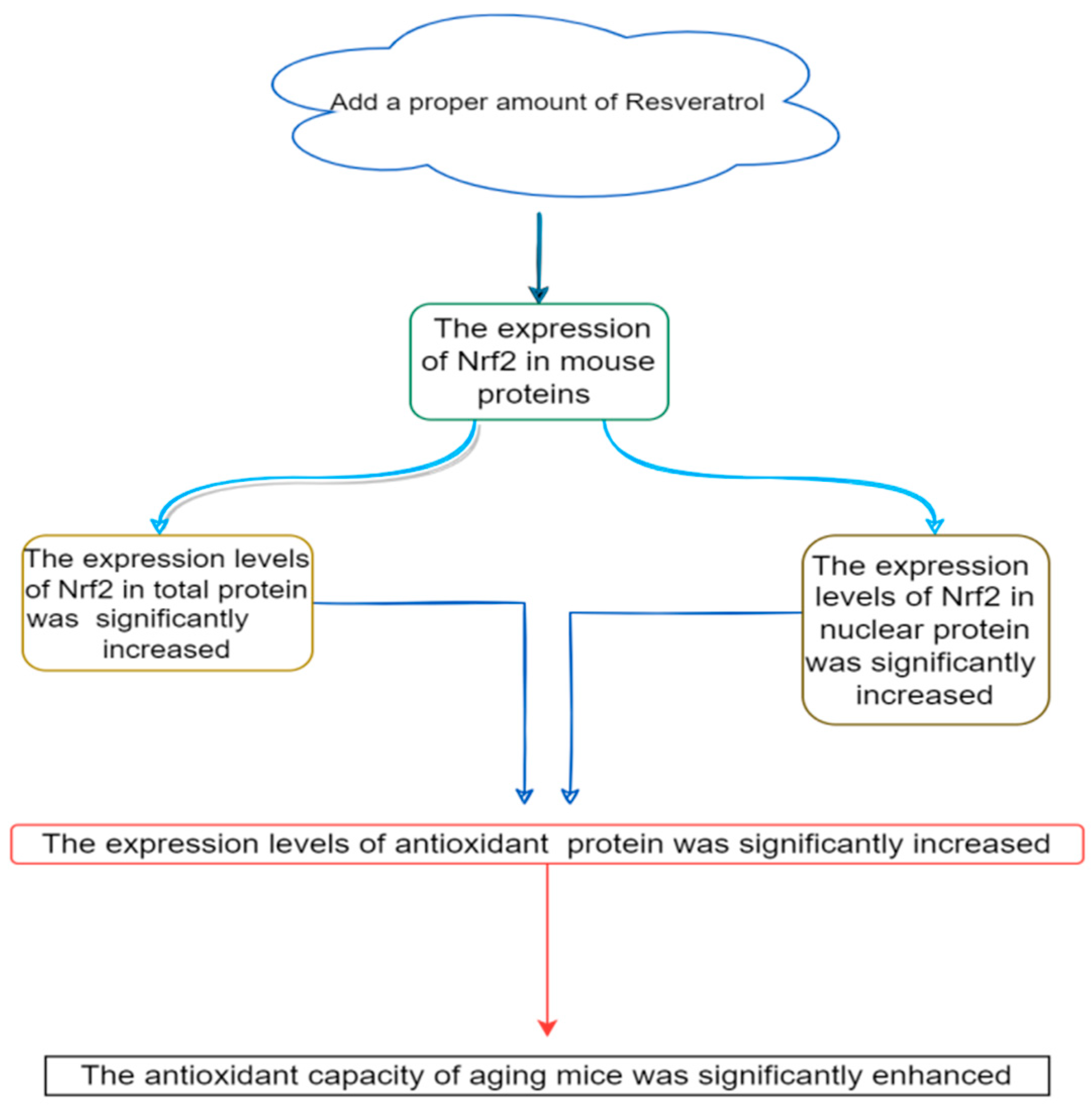 Biology 14 00087 g007
