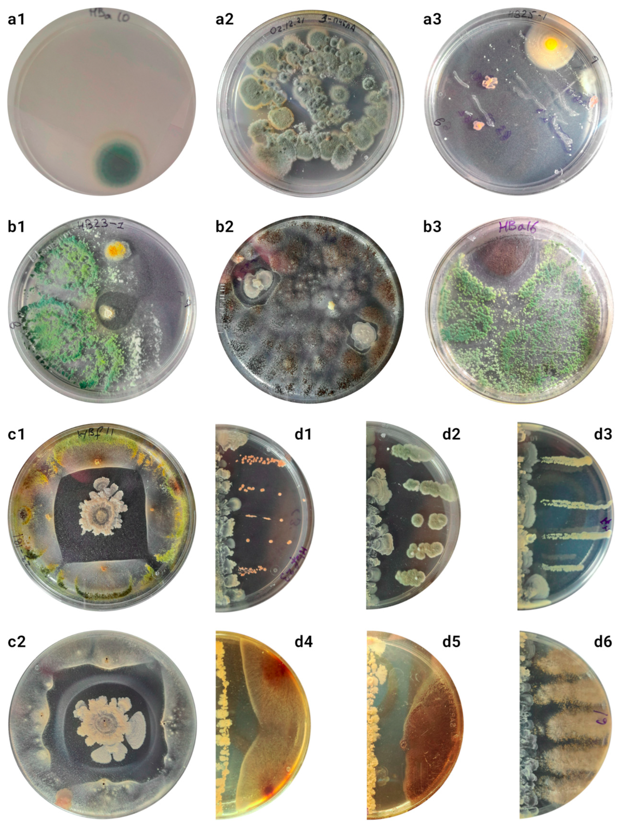 Biology 14 00088 g001