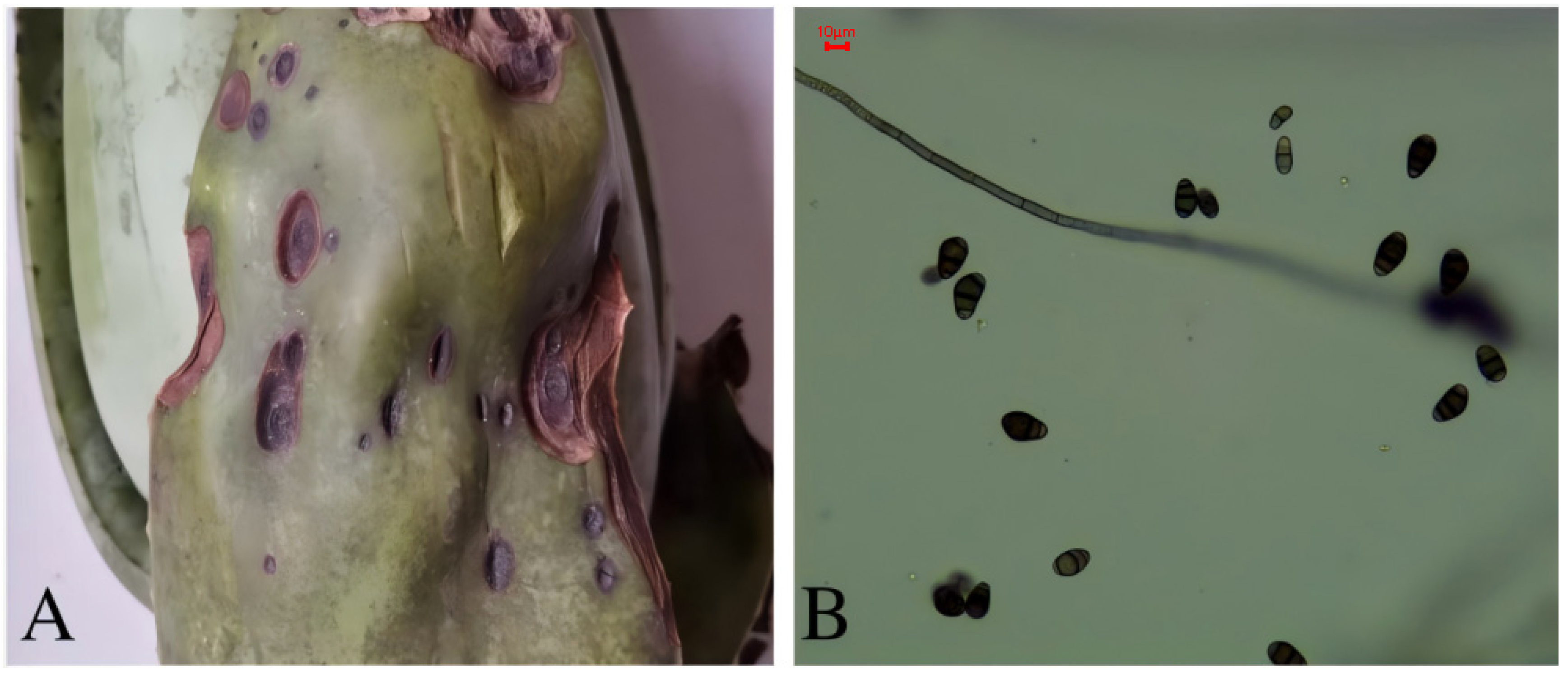 Biology 14 00089 g002