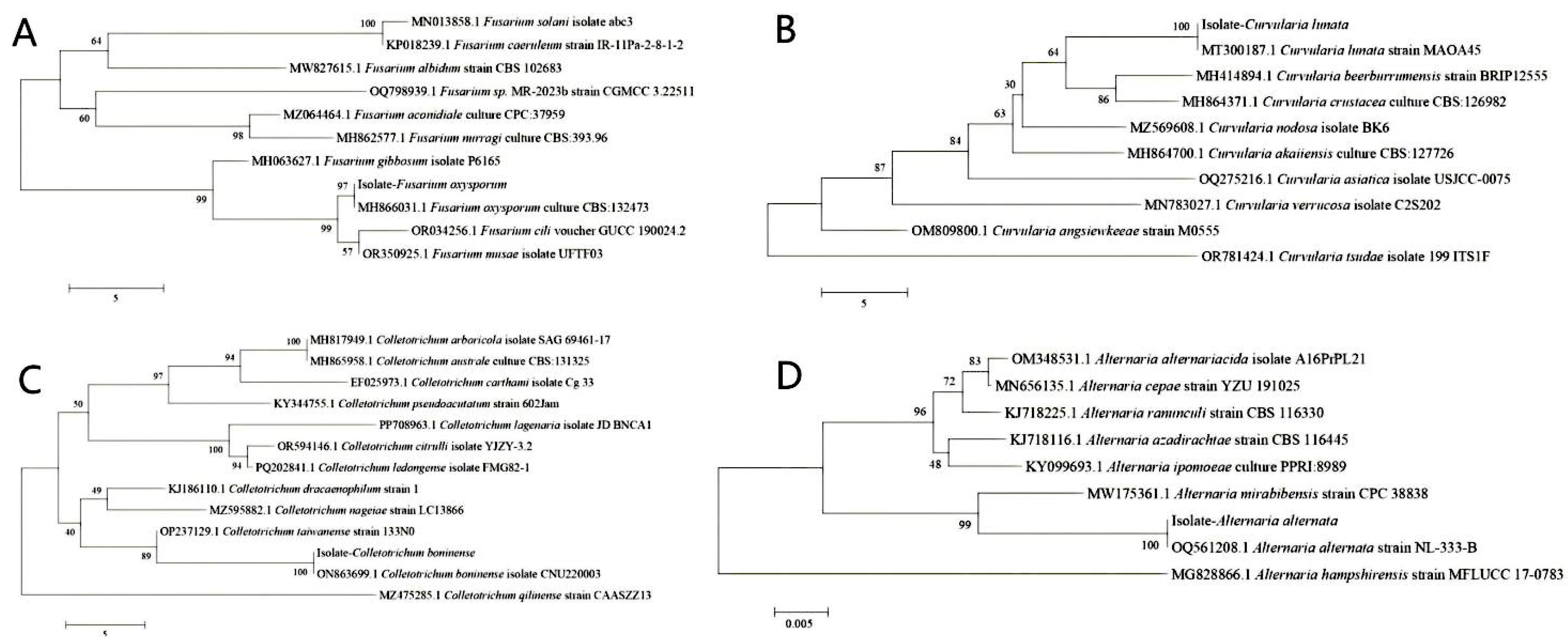 Biology 14 00089 g005