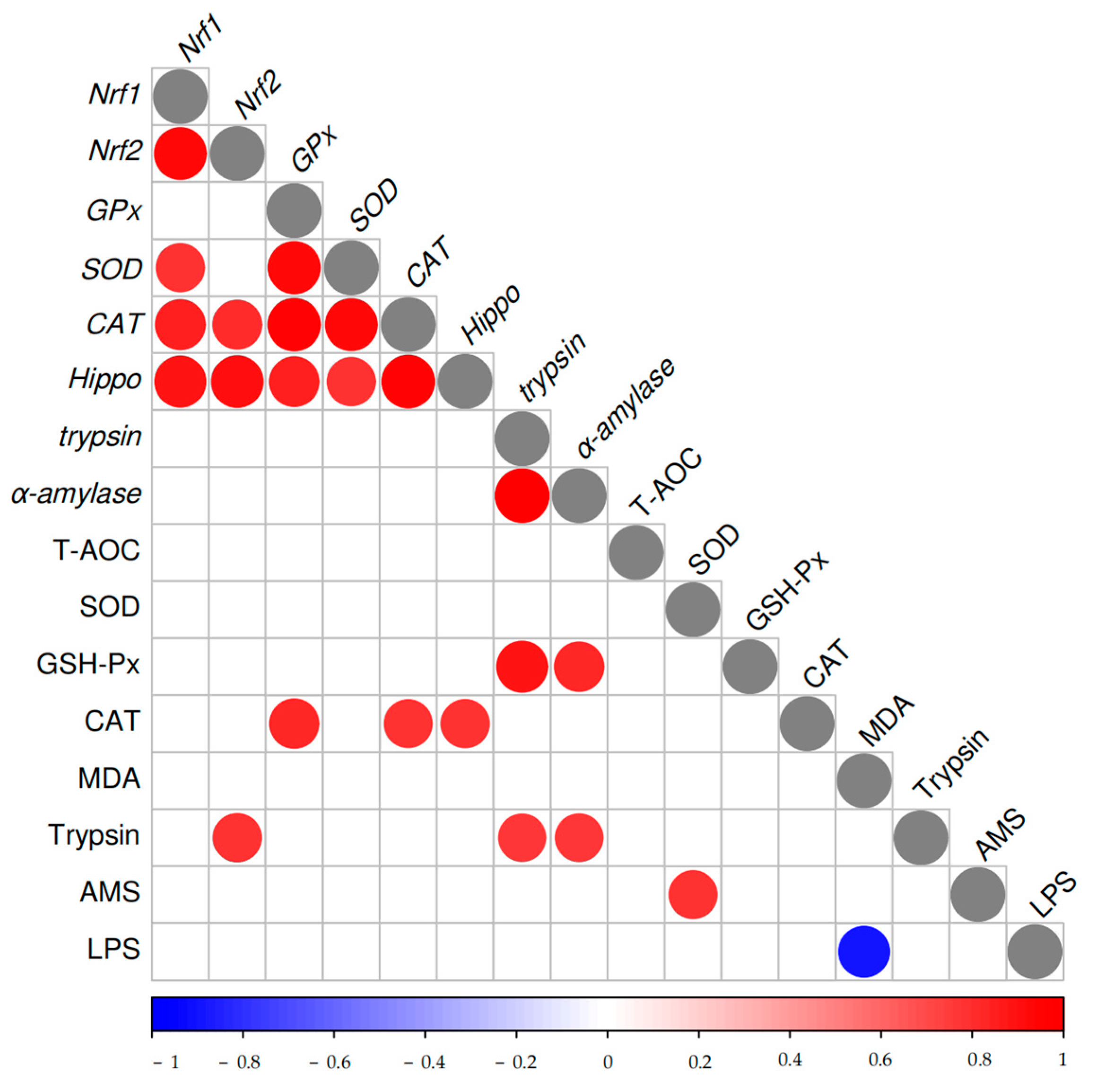 Biology 14 00090 g003 Biology 14 00090 g003