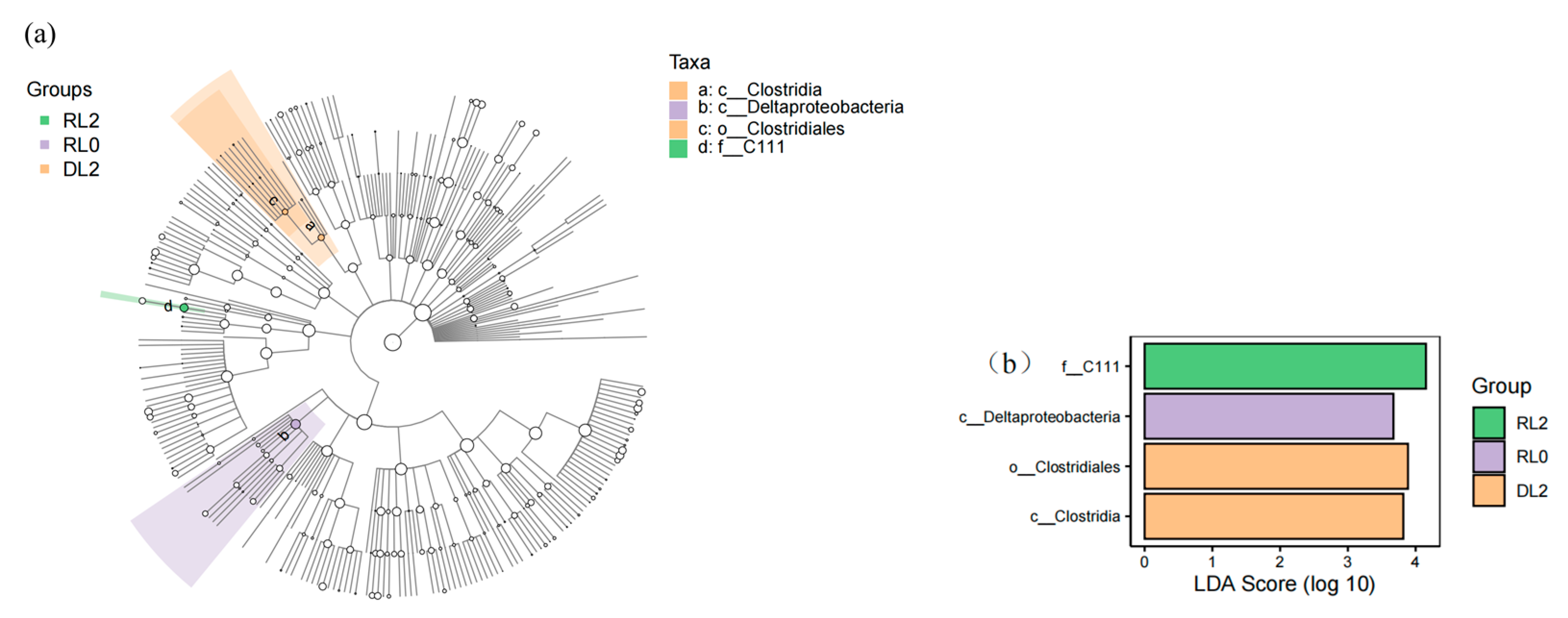 Biology 14 00090 g006 Biology 14 00090 g006