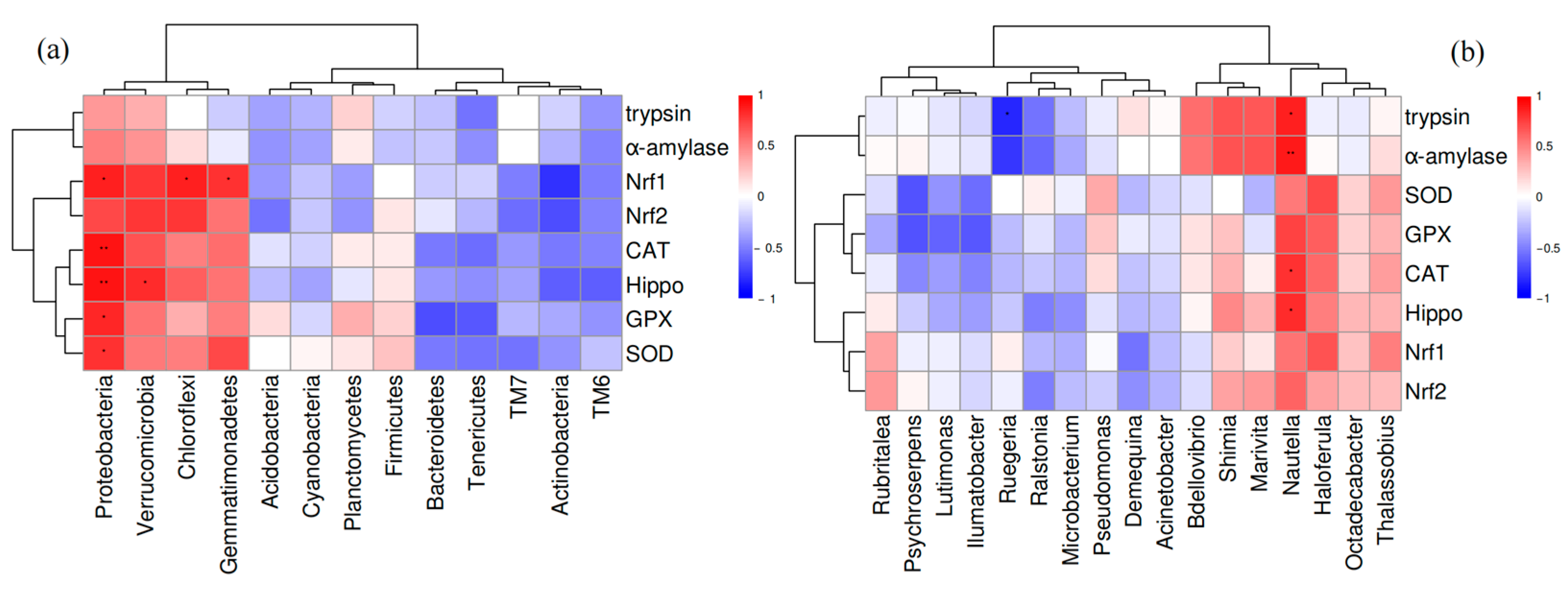 Biology 14 00090 g008 Biology 14 00090 g008