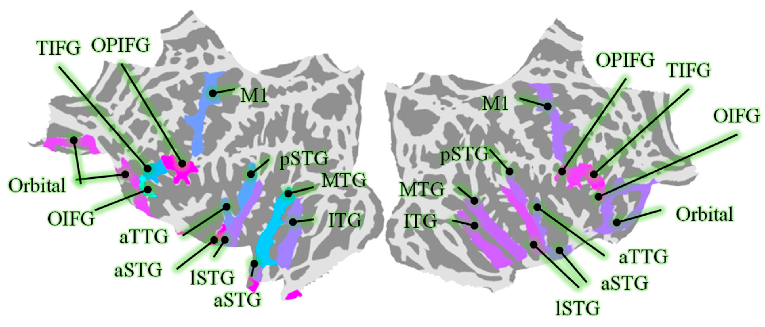 Biology 14 00091 g001