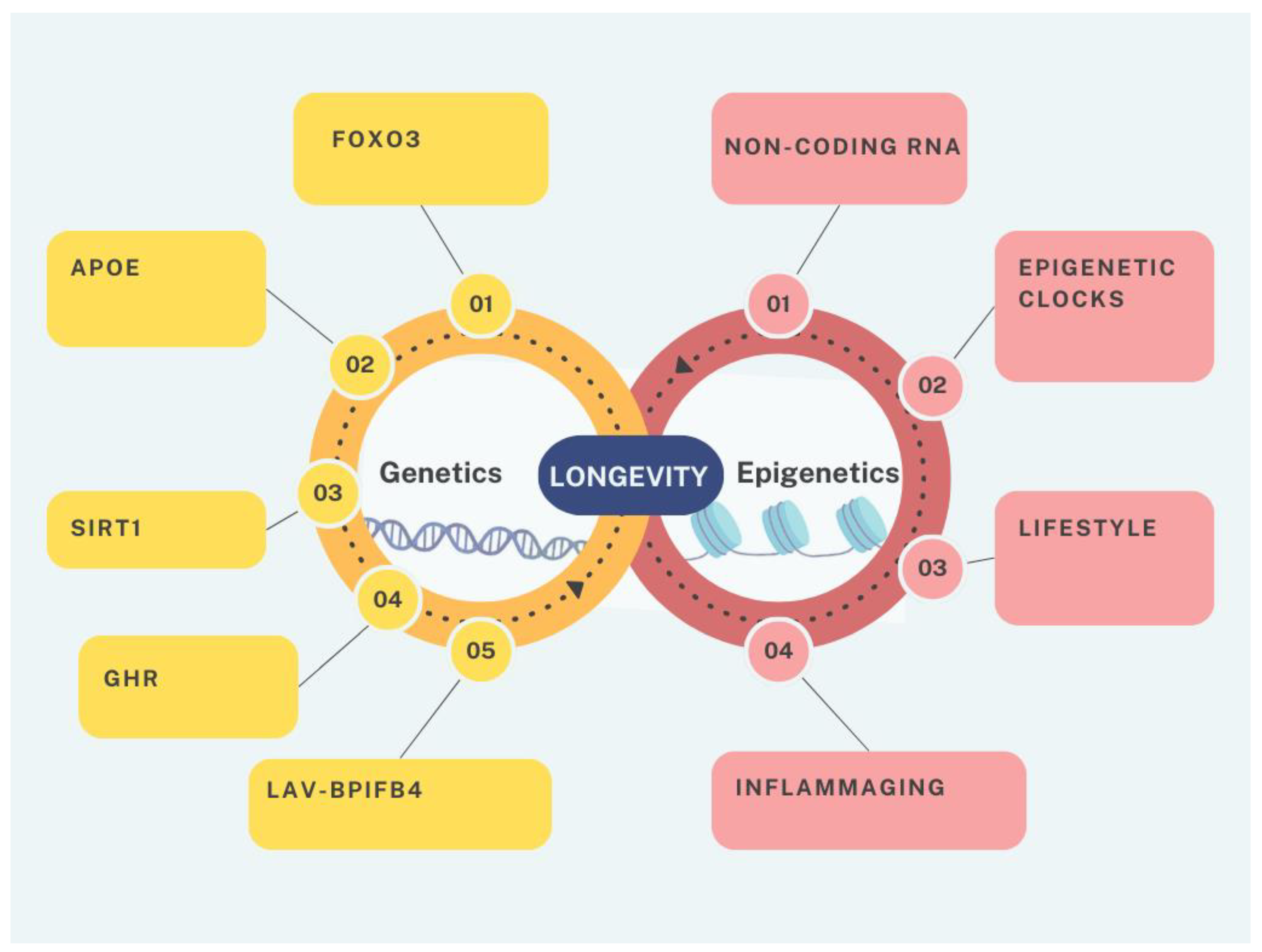 Biology 14 00092 g001