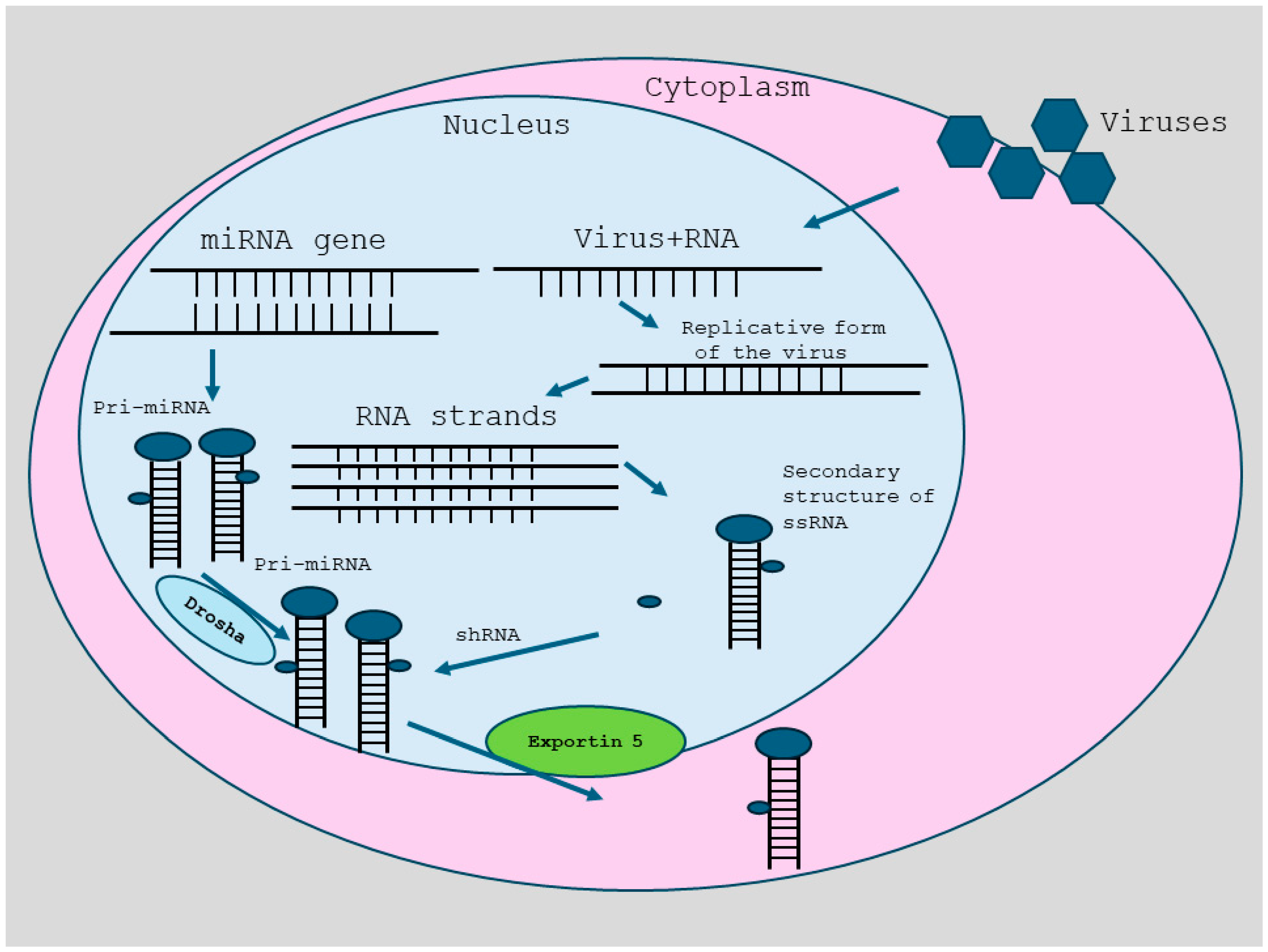 Biology 14 00093 g001 Biology 14 00093 g001
