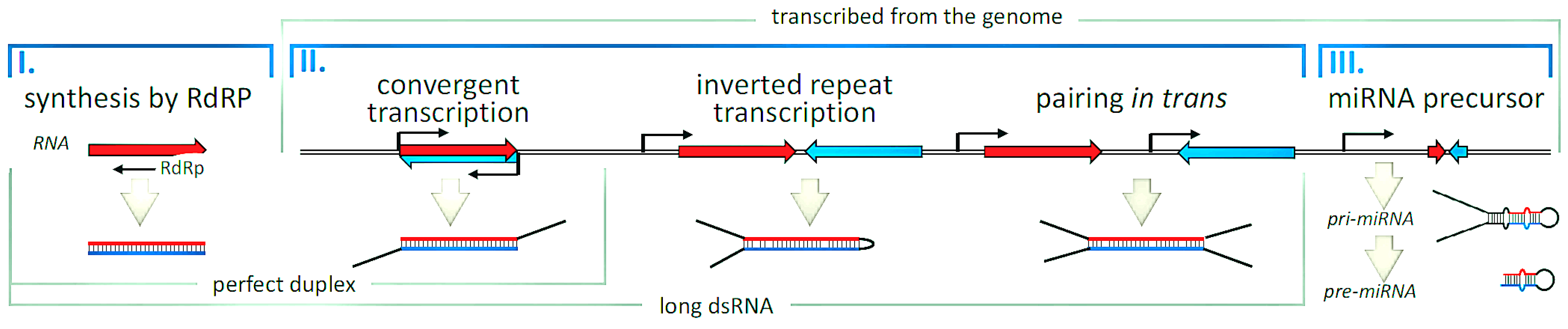 Biology 14 00093 g002 Biology 14 00093 g002