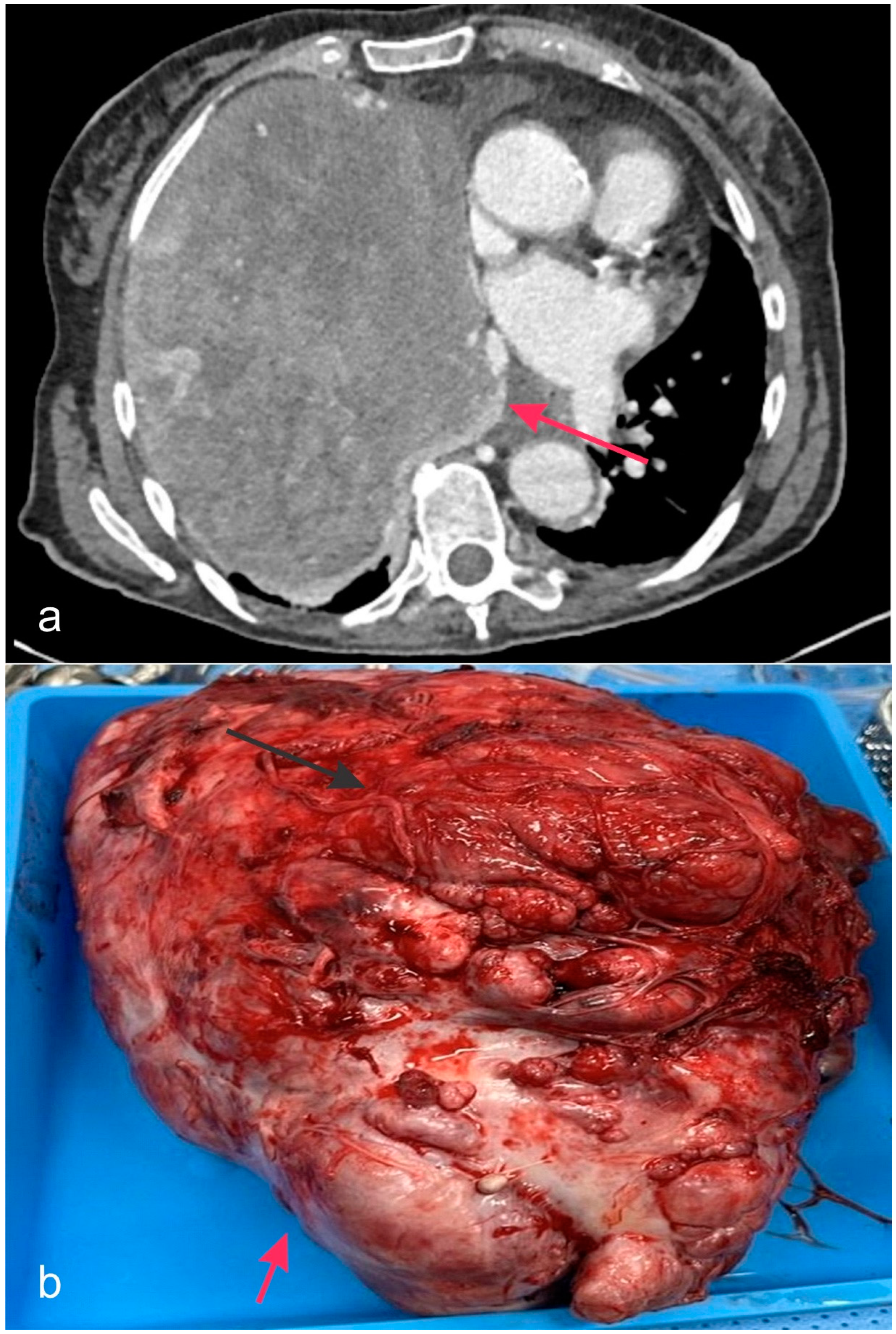 Biology 14 00093 g004 Biology 14 00093 g004