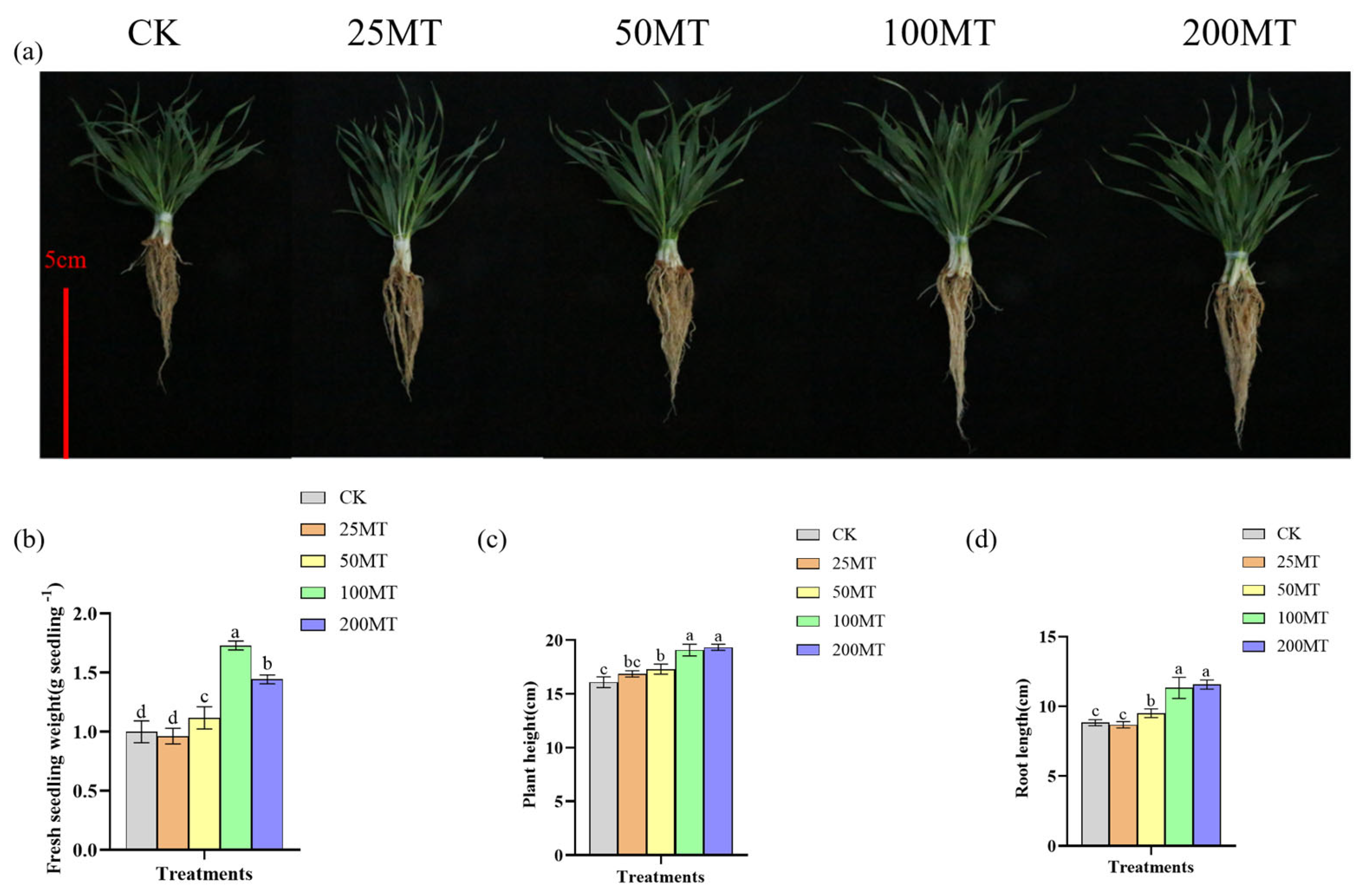 Biology 14 00094 g002