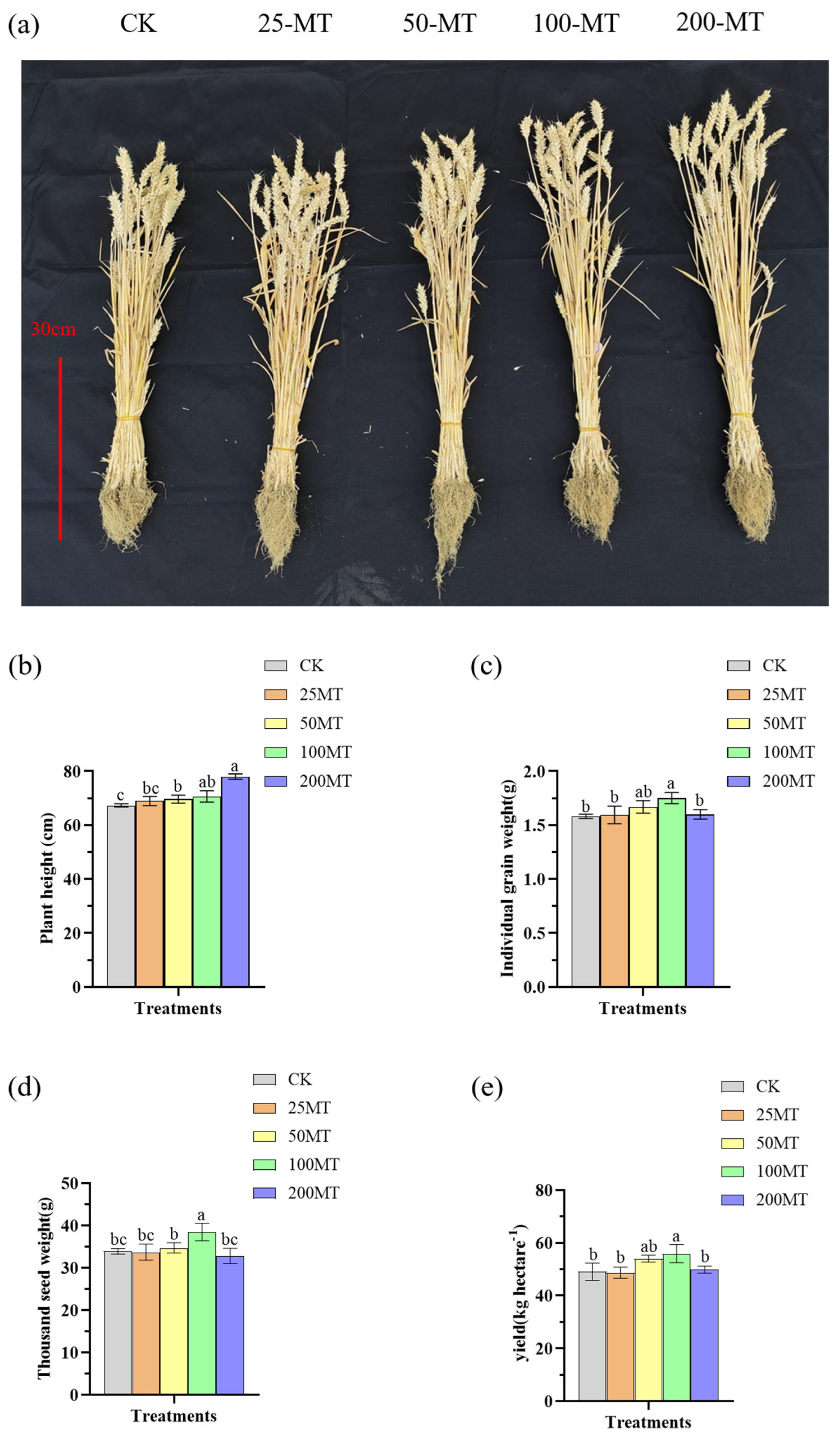 Biology 14 00094 g006