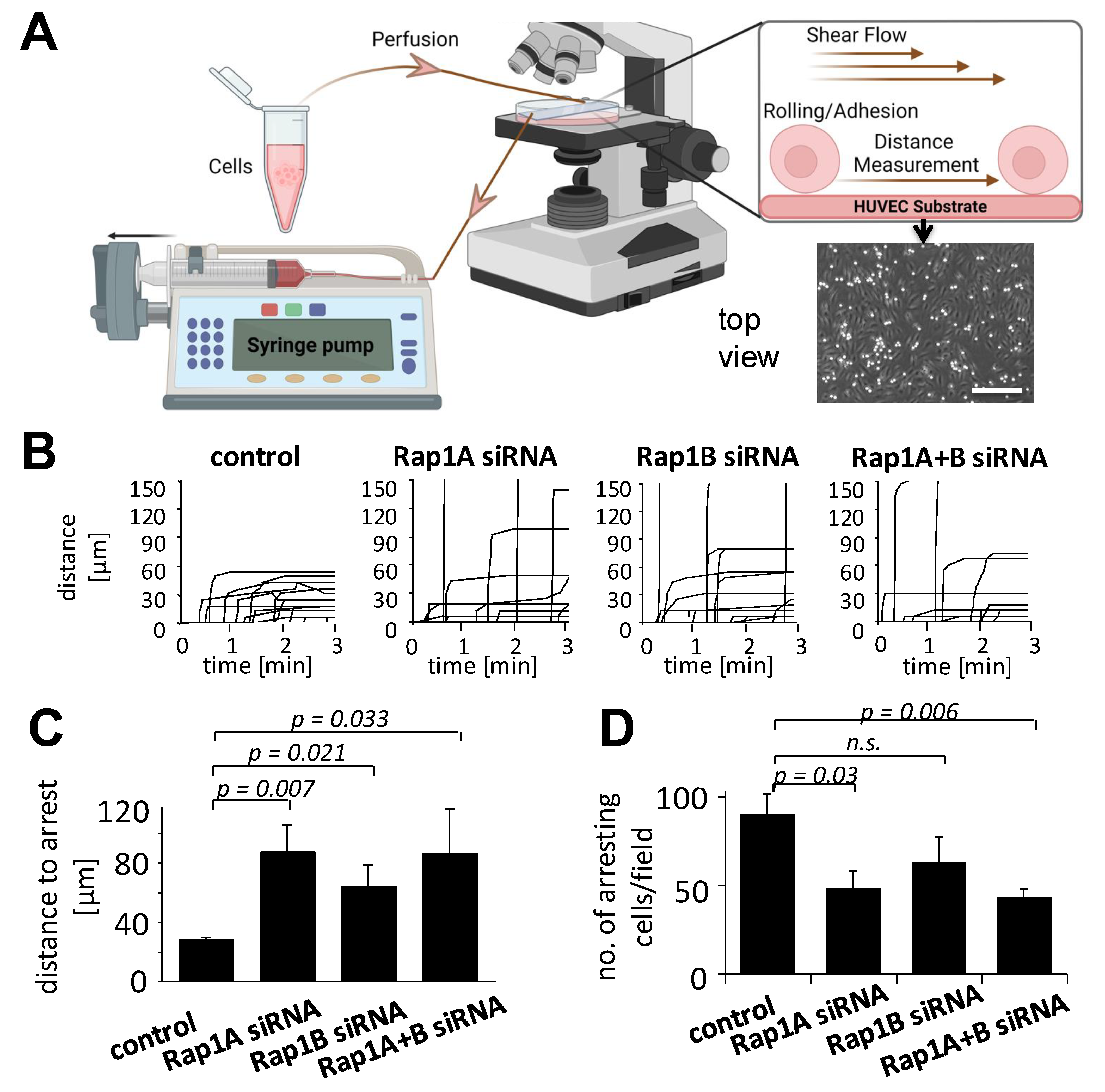 Biology 14 00096 g002 Biology 14 00096 g002