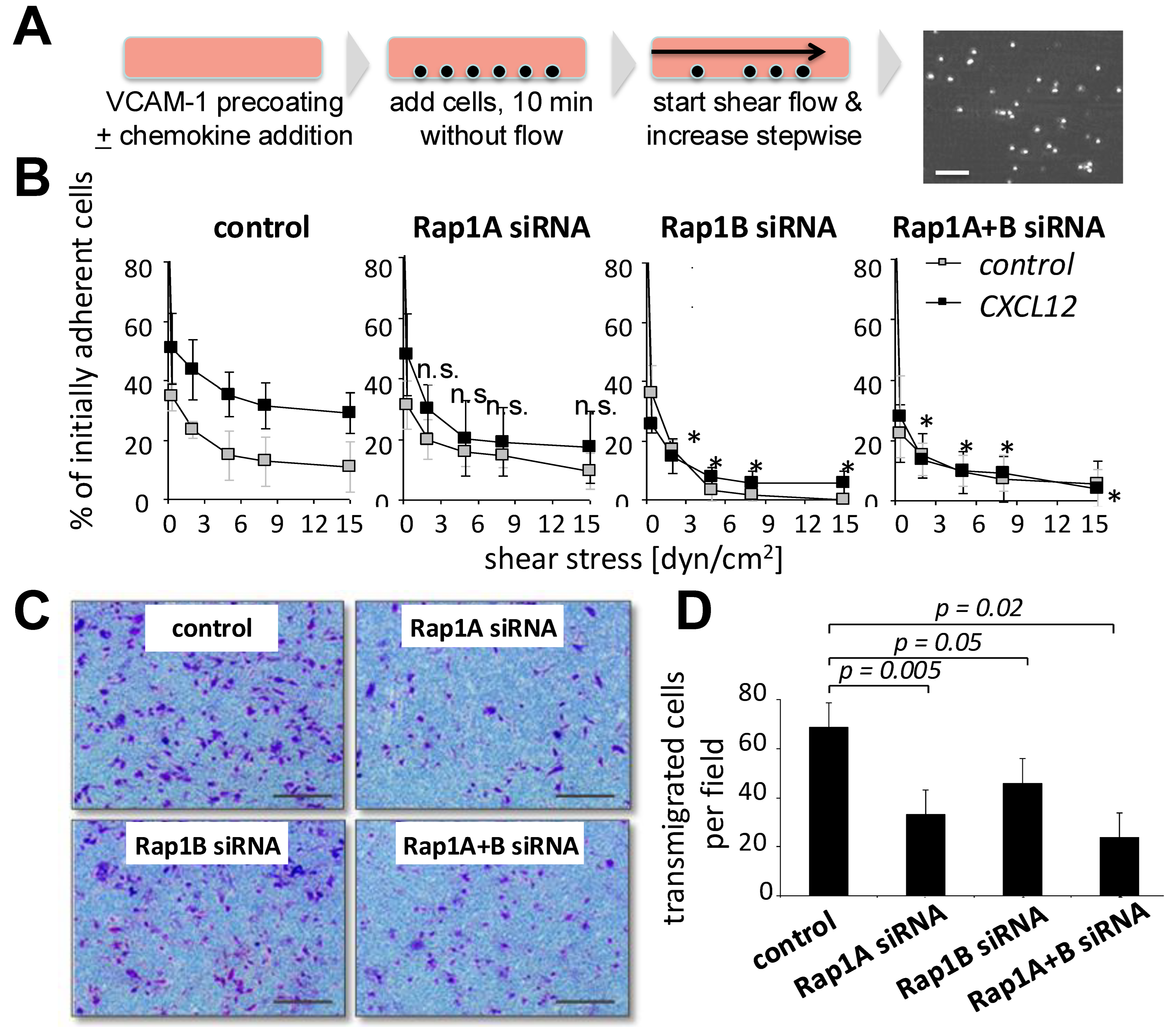 Biology 14 00096 g003 Biology 14 00096 g003