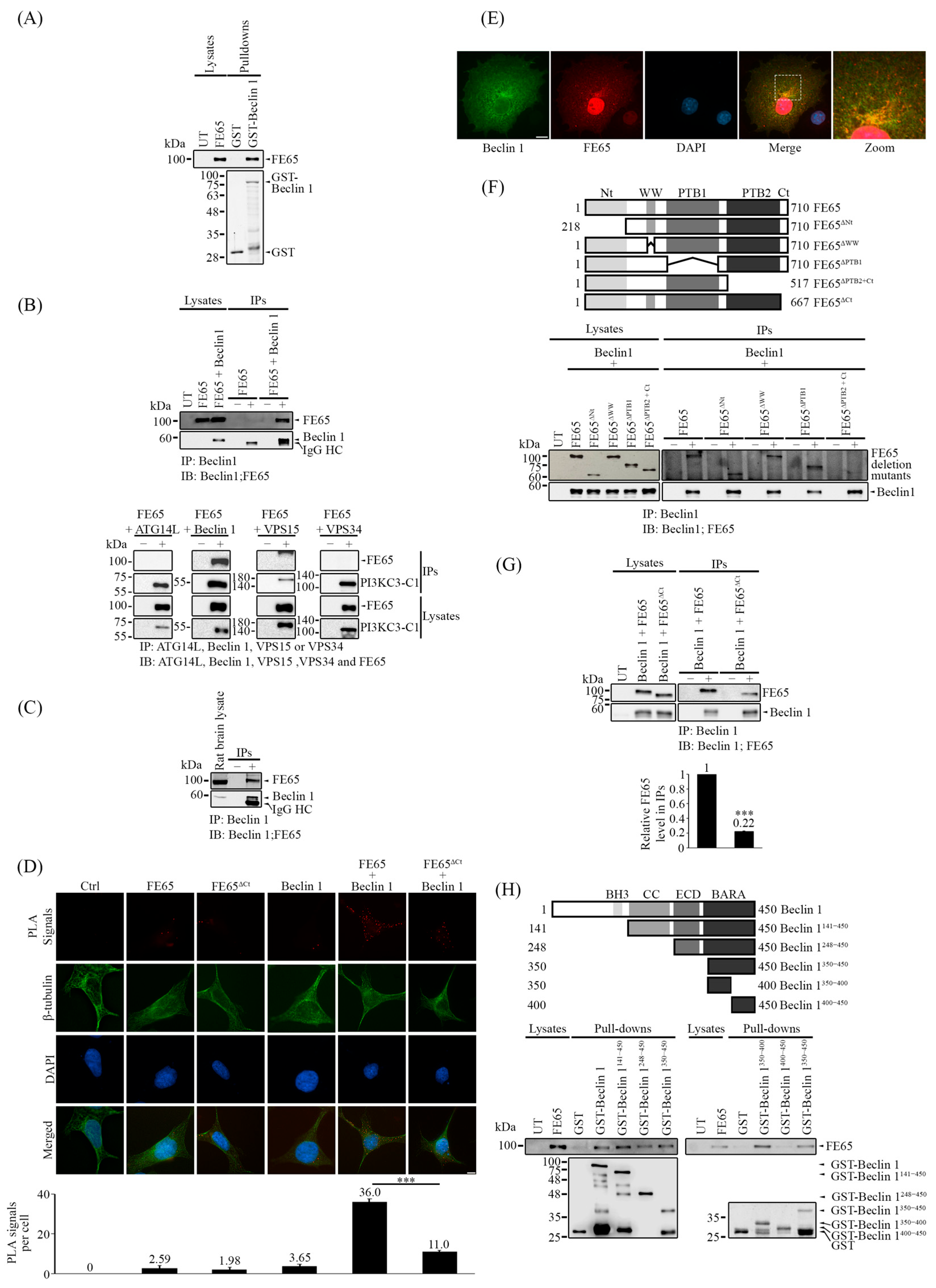Biology 14 00097 g002
