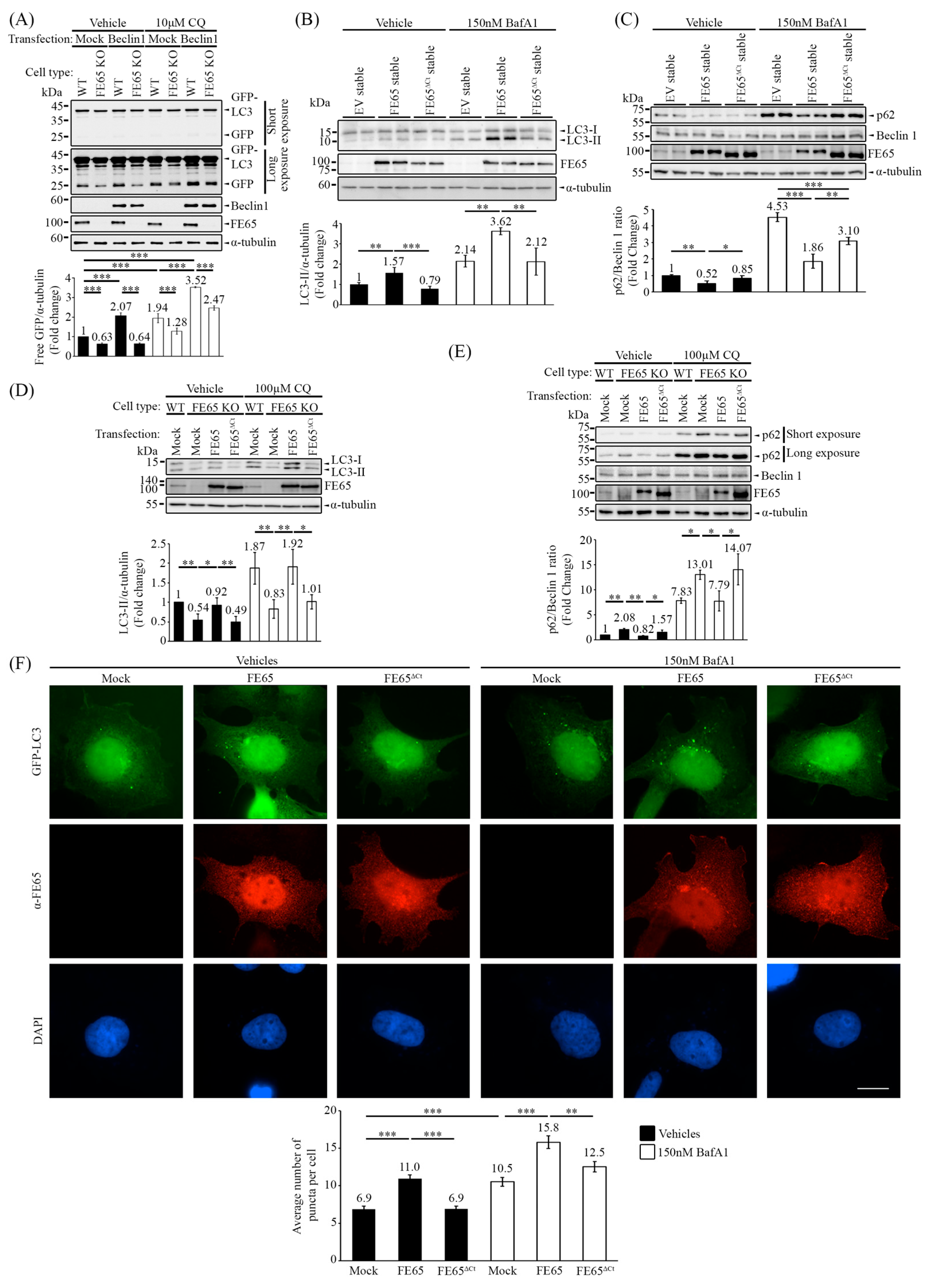 Biology 14 00097 g003