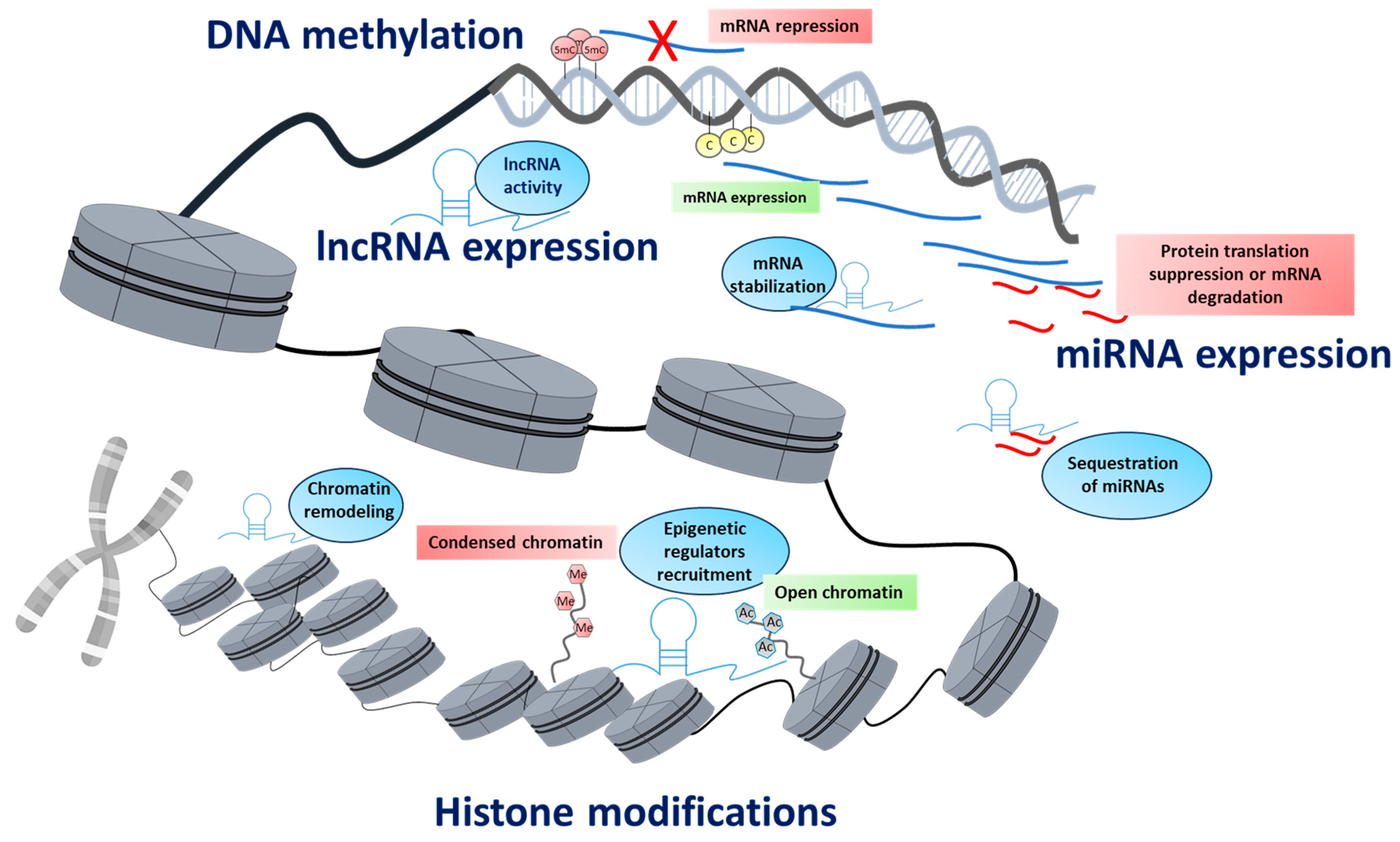 Biology 14 00098 g001