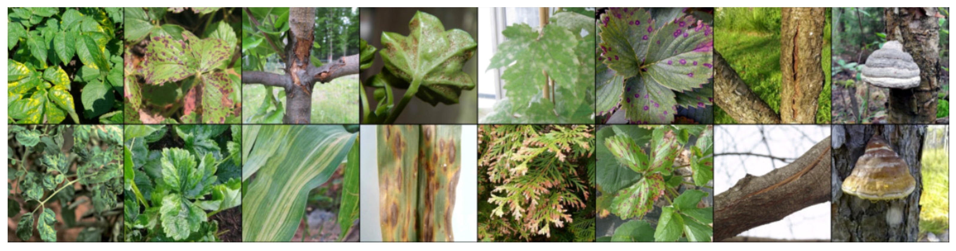 Biology 14 00099 g002