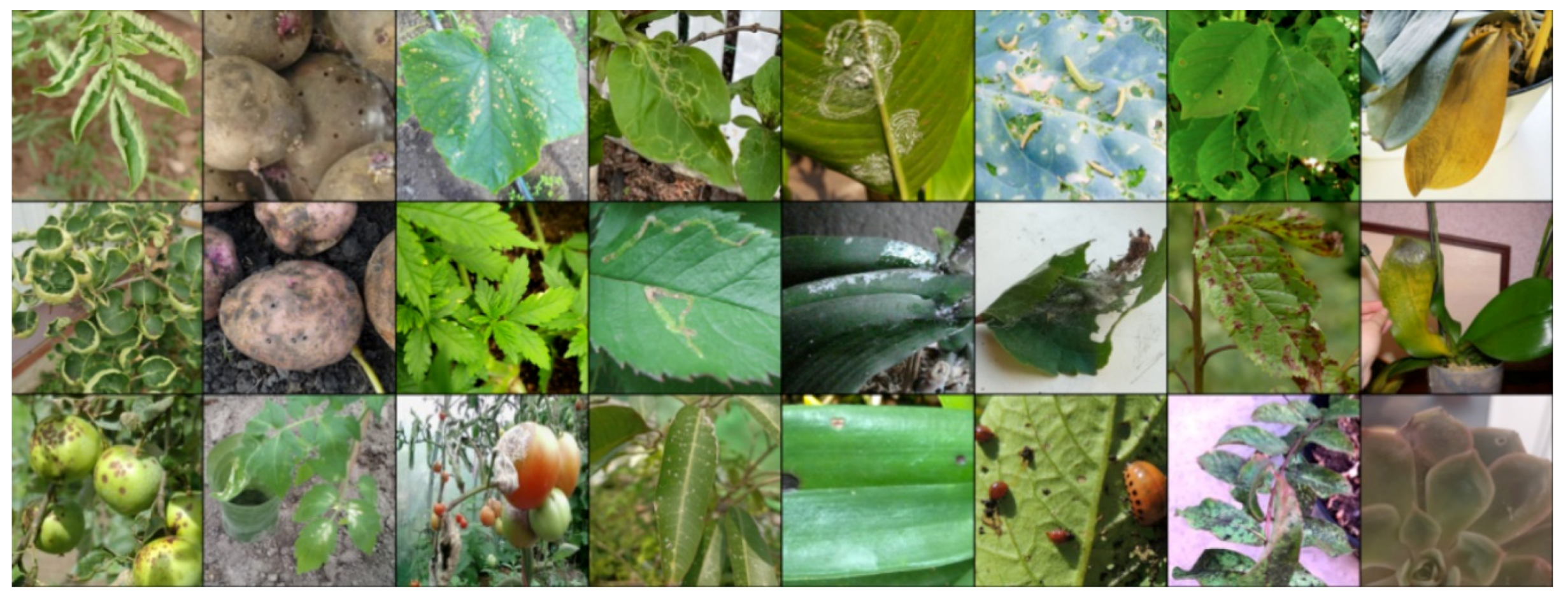 Biology 14 00099 g003