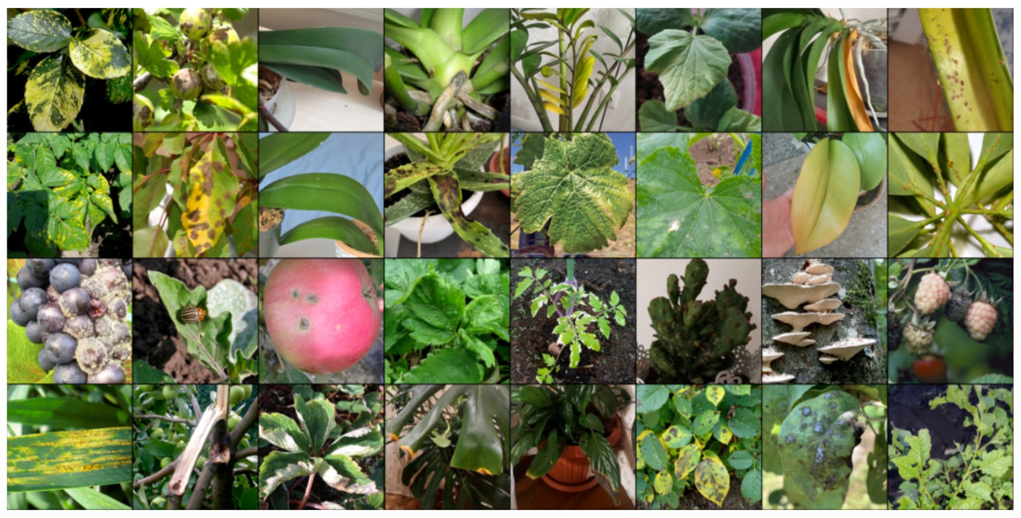 Biology 14 00099 g004