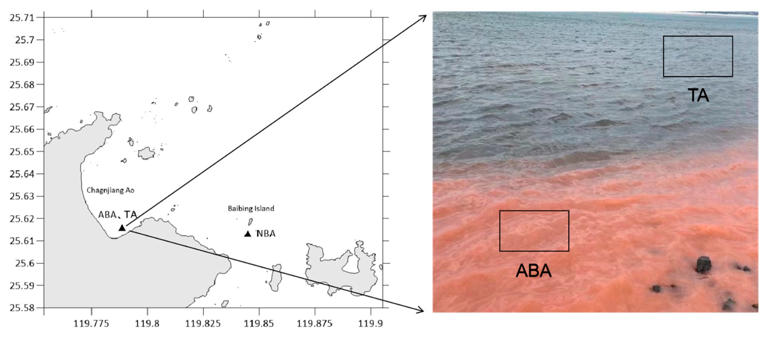 Biology 14 00101 g001 Biology 14 00101 g001