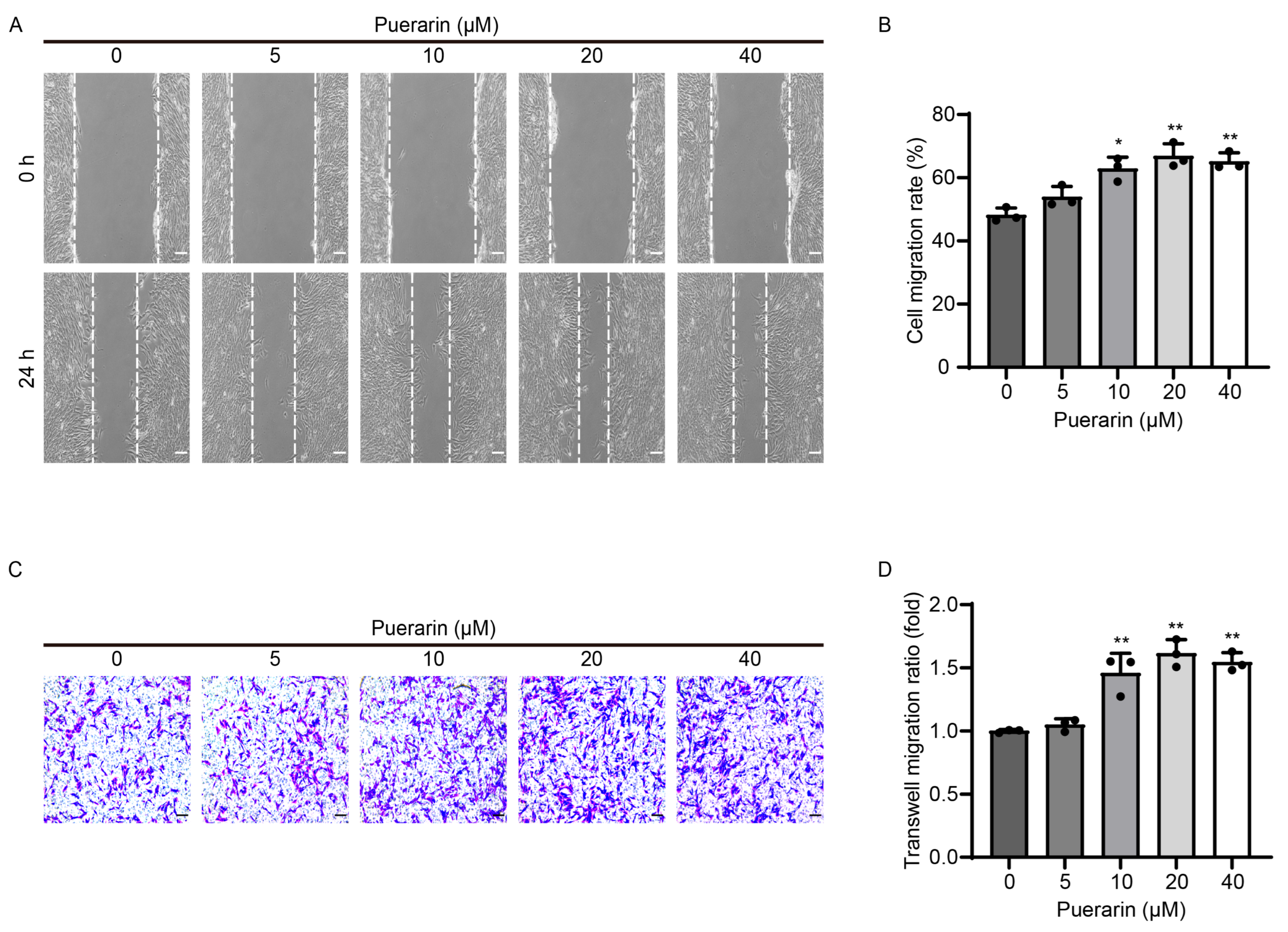 Biology 14 00102 g002