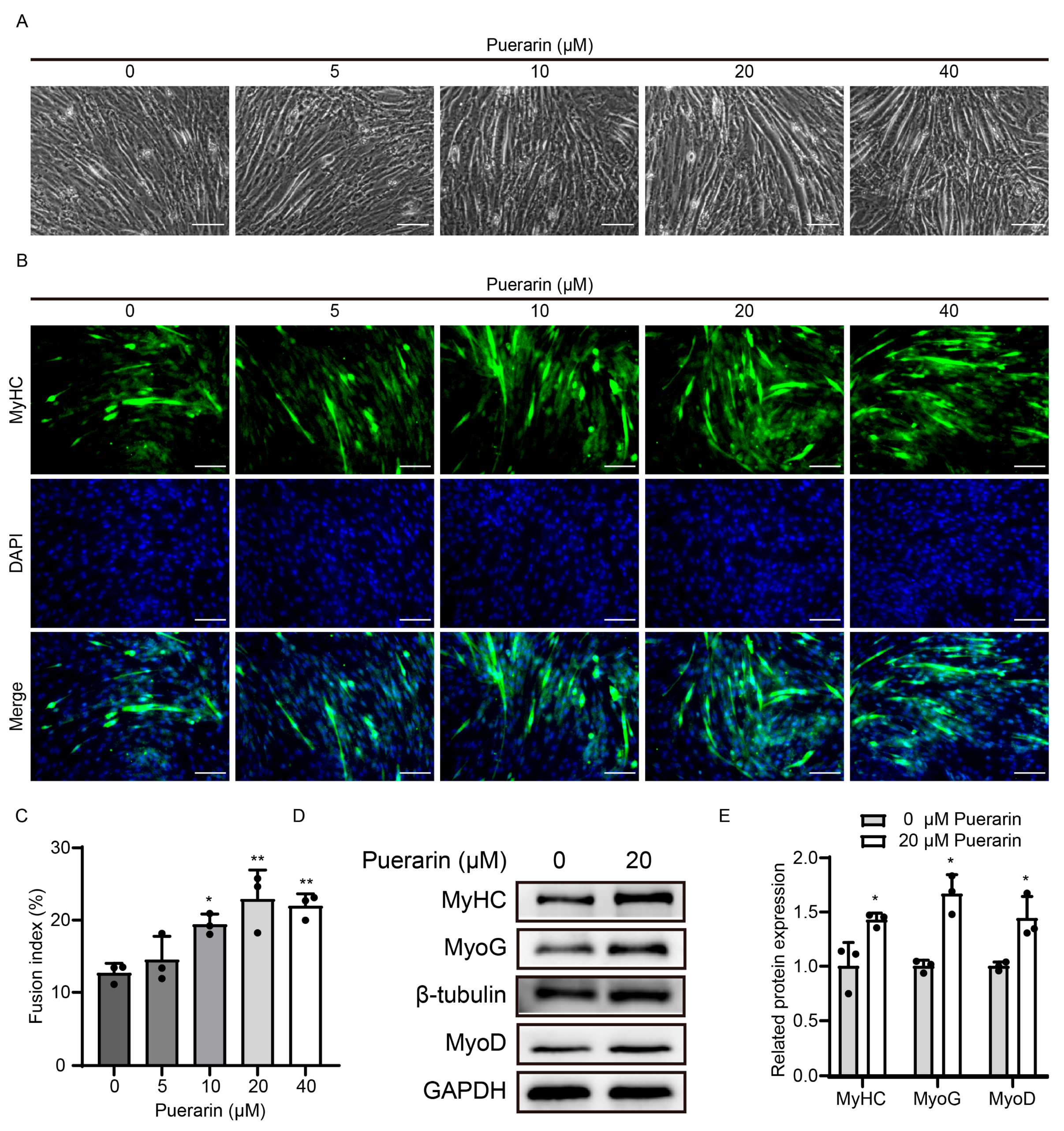 Biology 14 00102 g004