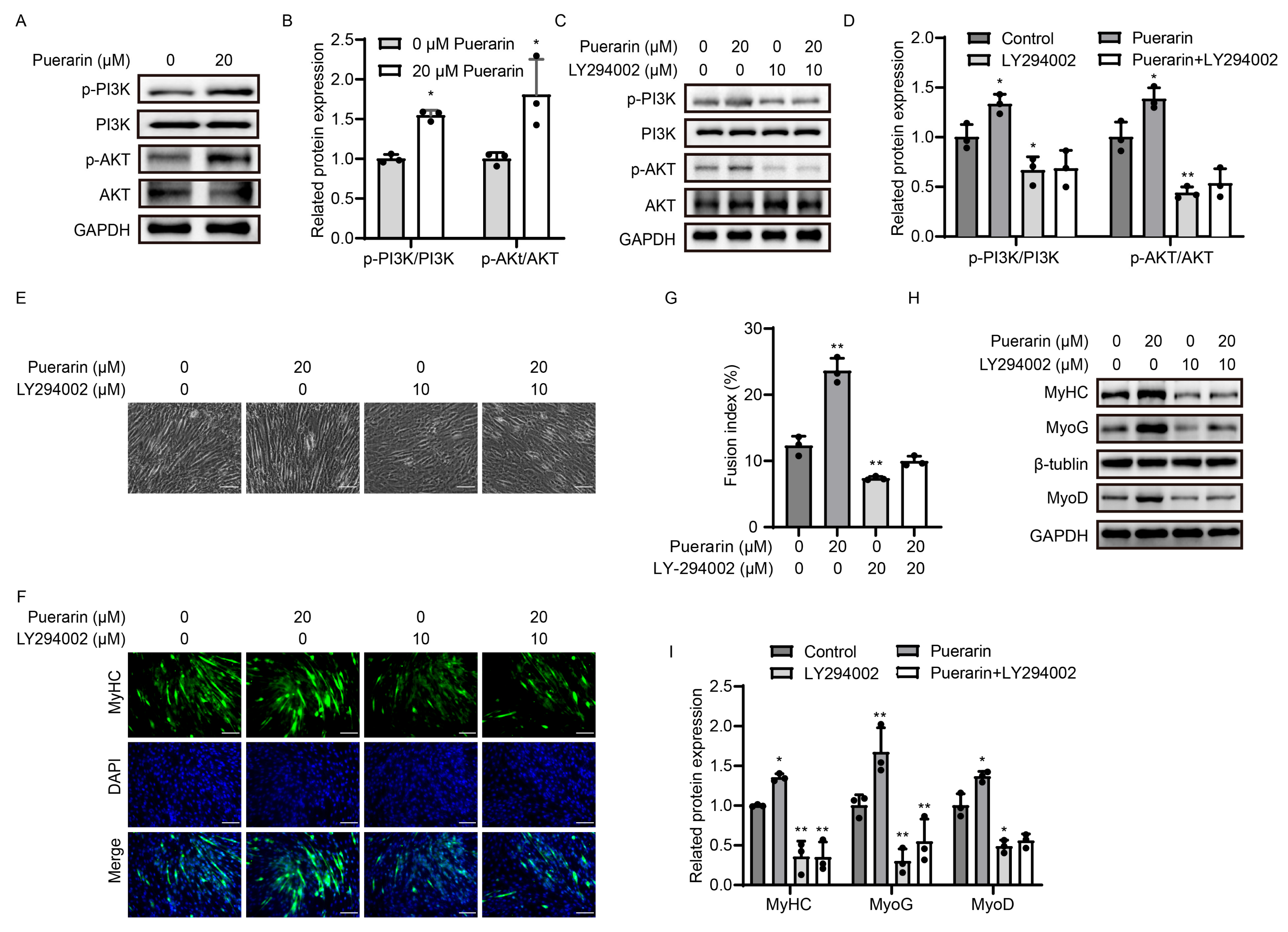 Biology 14 00102 g005