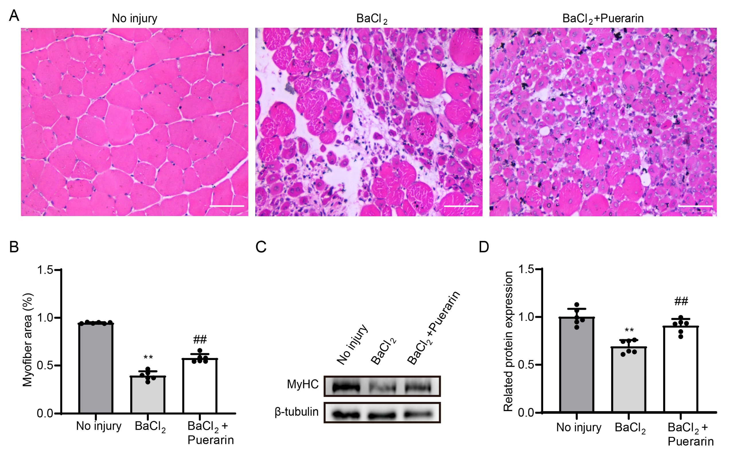 Biology 14 00102 g006