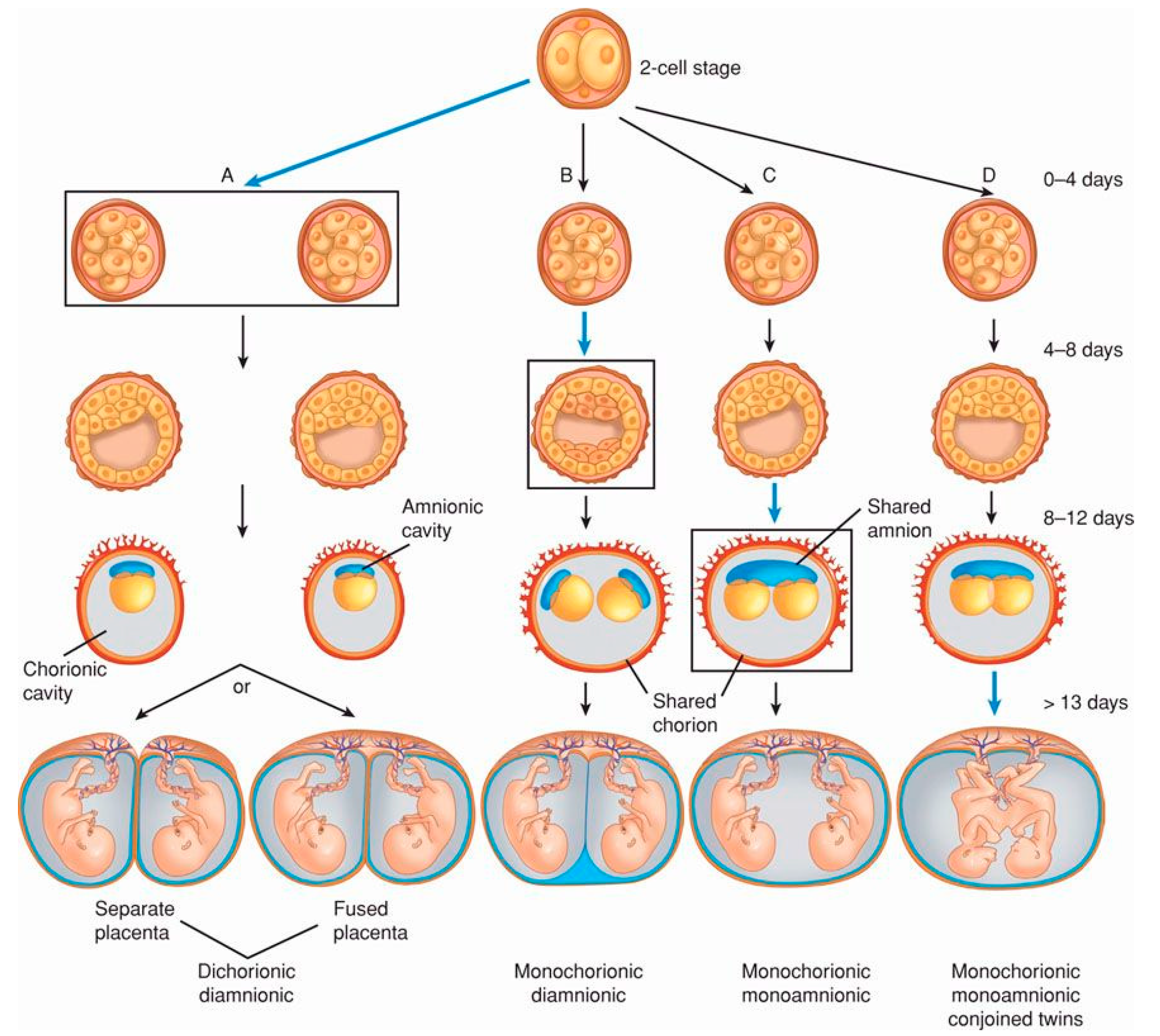 Biology 14 00104 g001