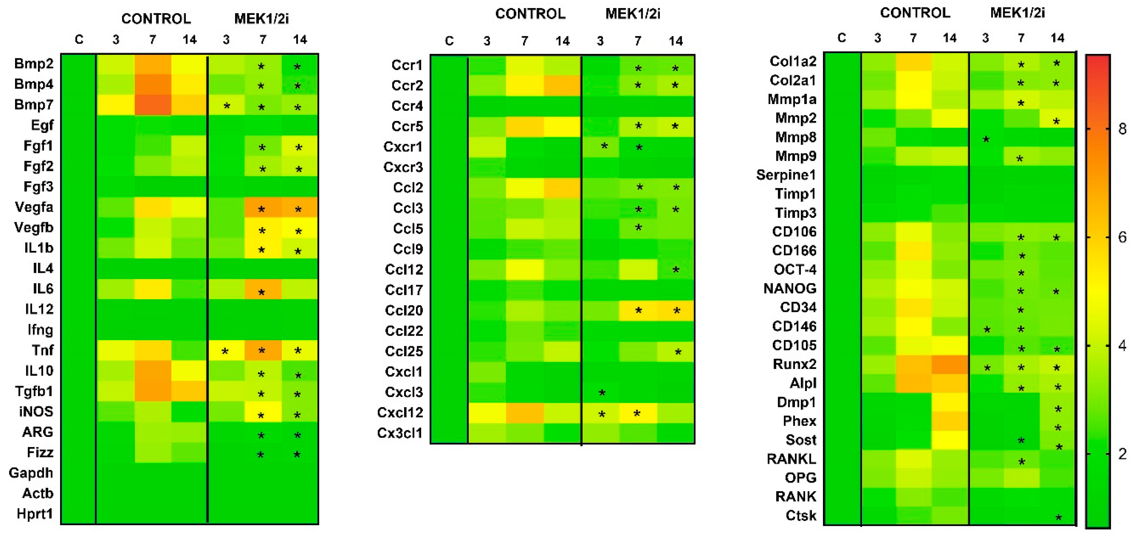 Biology 14 00107 g001