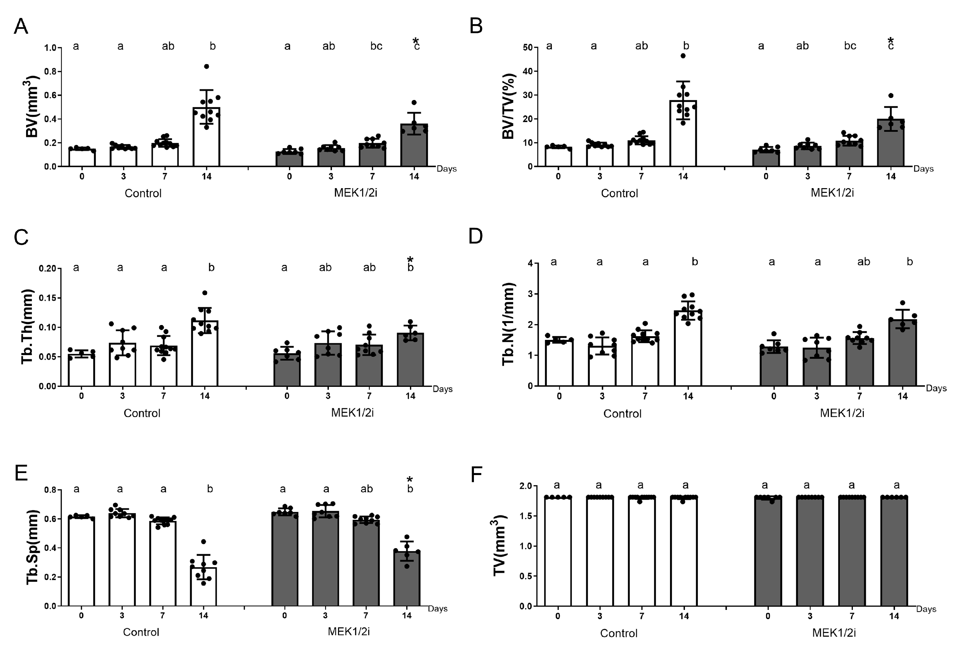 Biology 14 00107 g005