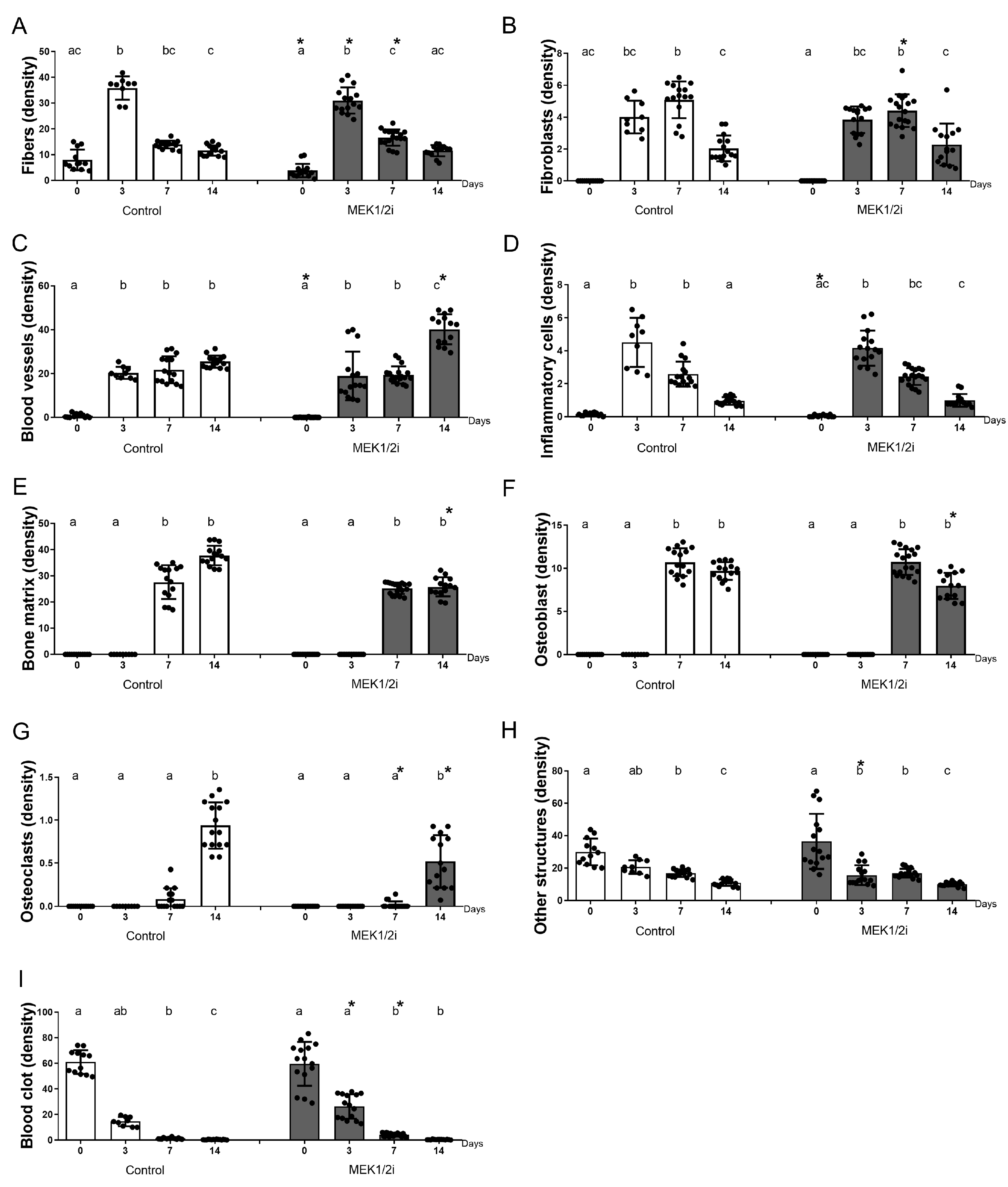 Biology 14 00107 g007