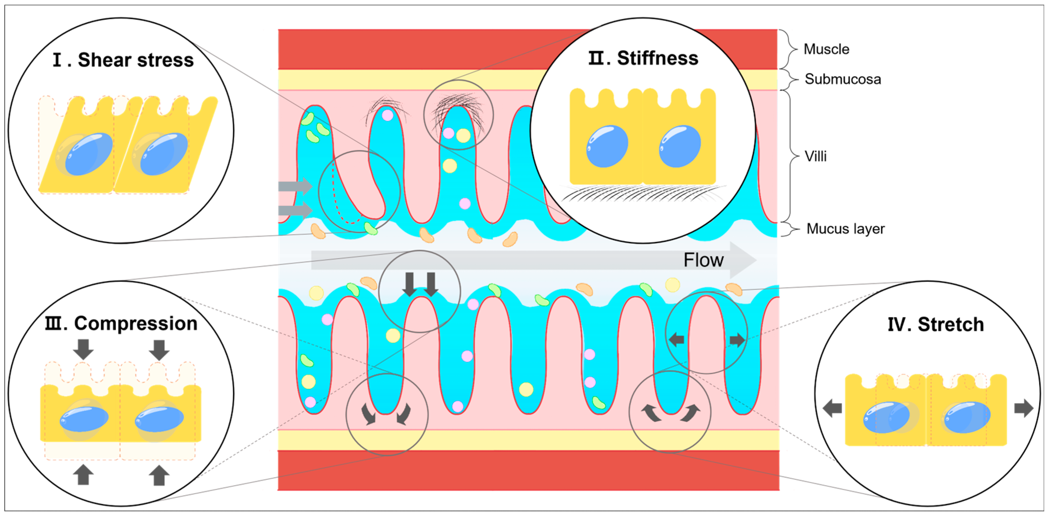 Biology 14 00110 g001 Biology 14 00110 g001