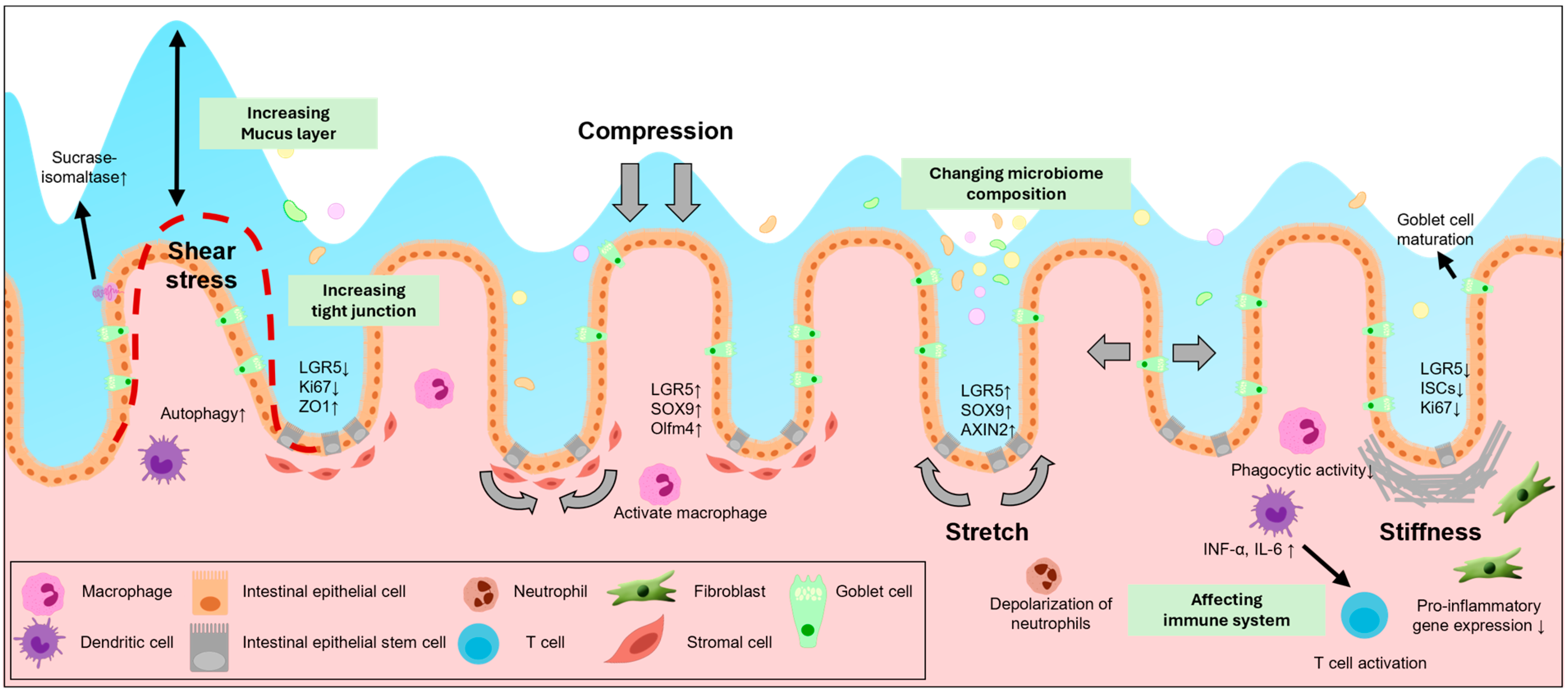 Biology 14 00110 g002 Biology 14 00110 g002